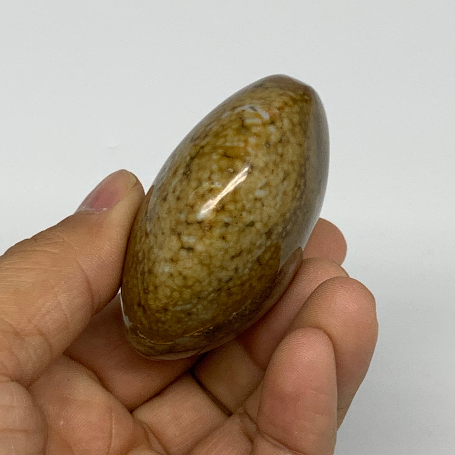 109.8g, 2.3"x1.9"x1.2" Natural Ocean Jasper Palm-Stone Orbicular Jasper, B30778