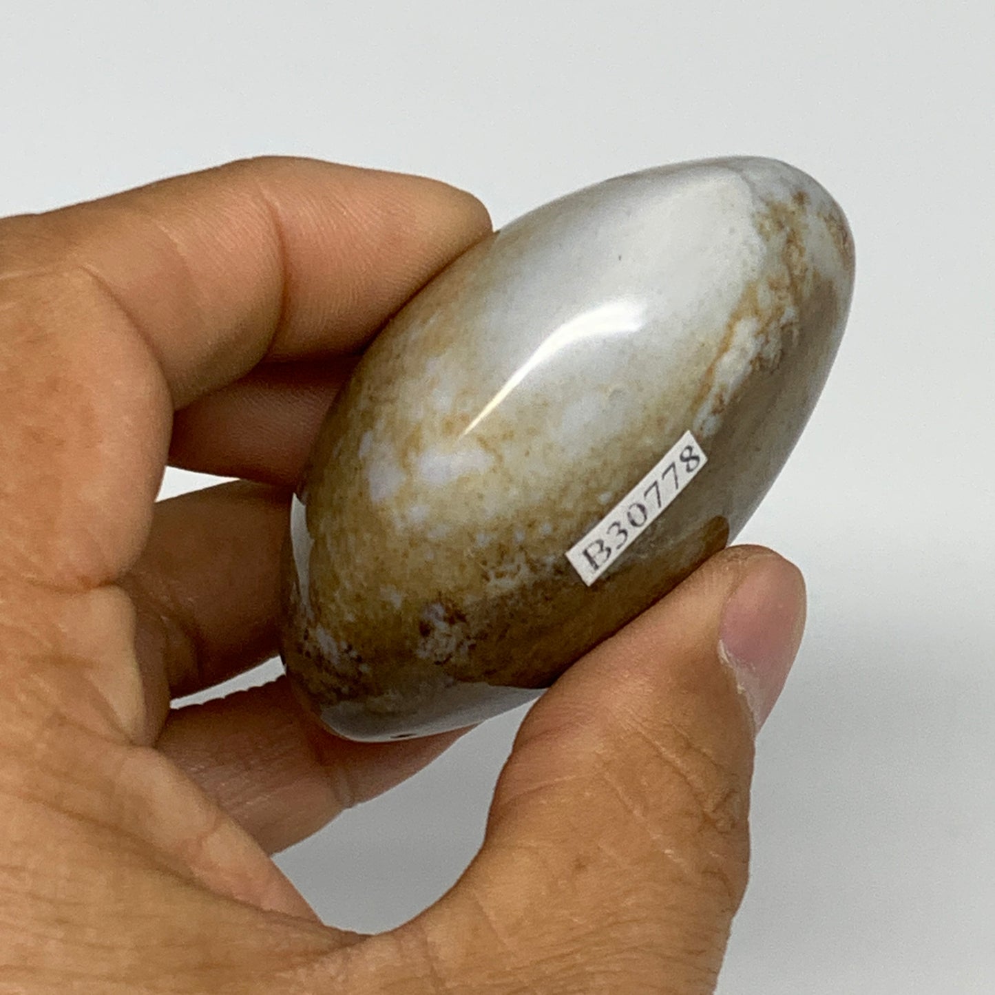 109.8g, 2.3"x1.9"x1.2" Natural Ocean Jasper Palm-Stone Orbicular Jasper, B30778