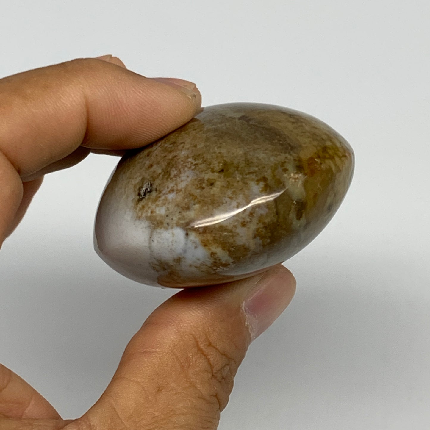 109.8g, 2.3"x1.9"x1.2" Natural Ocean Jasper Palm-Stone Orbicular Jasper, B30778