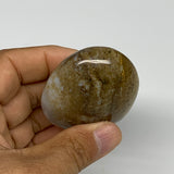 109.8g, 2.3"x1.9"x1.2" Natural Ocean Jasper Palm-Stone Orbicular Jasper, B30778