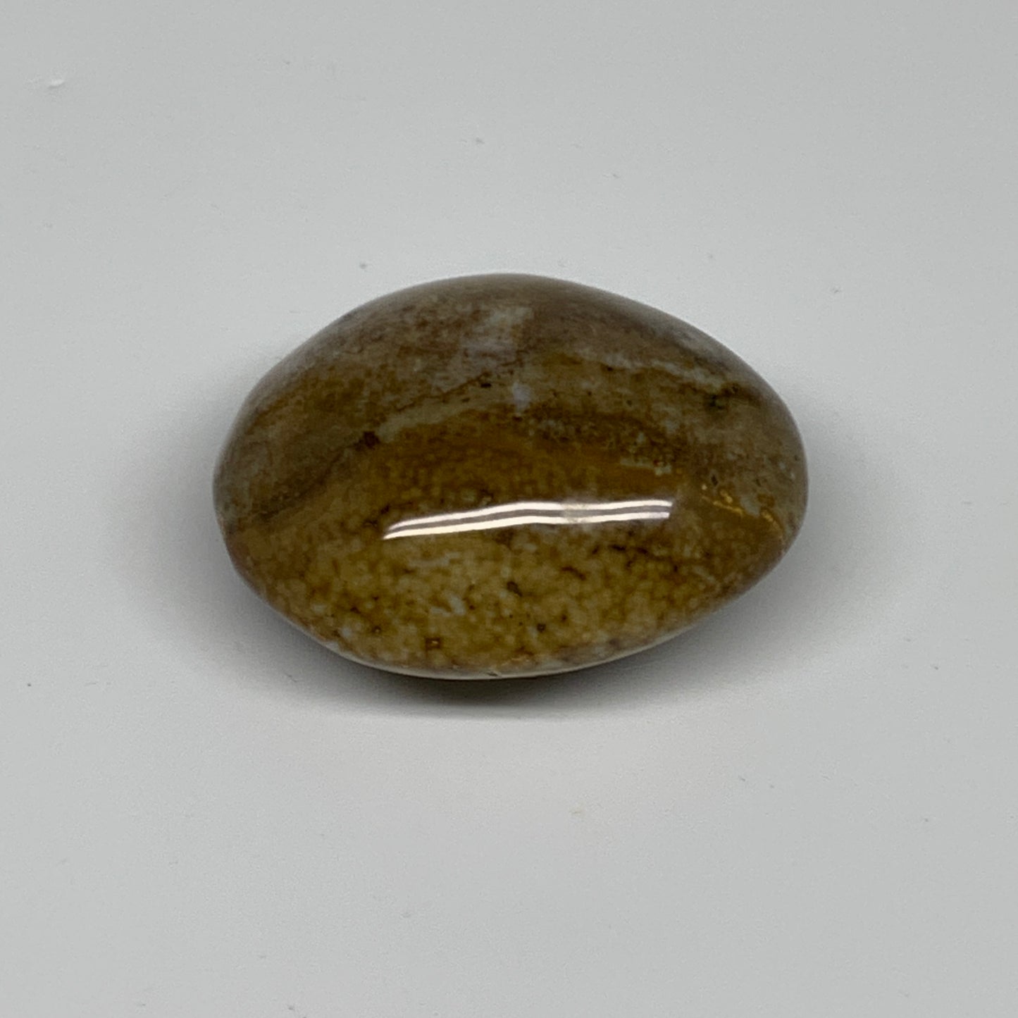 109.8g, 2.3"x1.9"x1.2" Natural Ocean Jasper Palm-Stone Orbicular Jasper, B30778