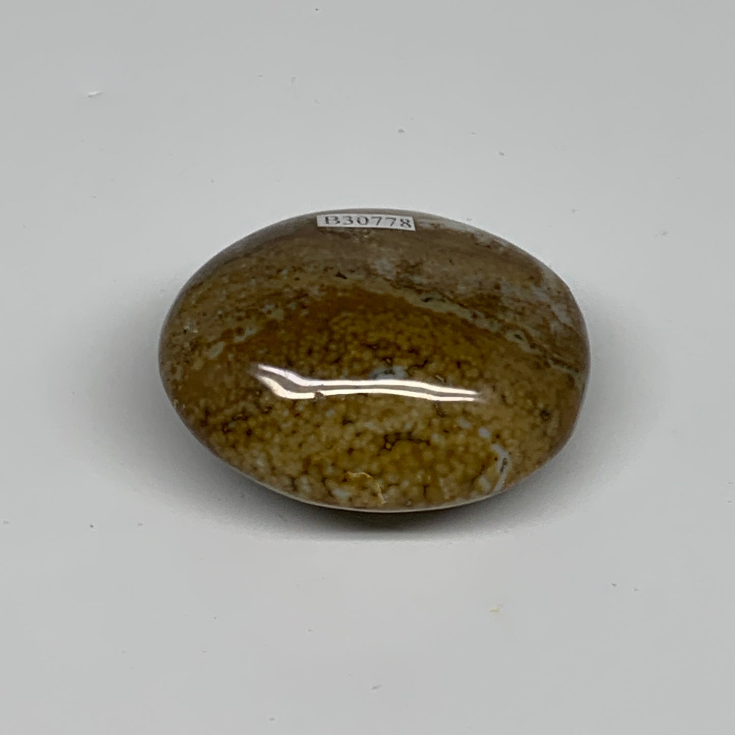 109.8g, 2.3"x1.9"x1.2" Natural Ocean Jasper Palm-Stone Orbicular Jasper, B30778