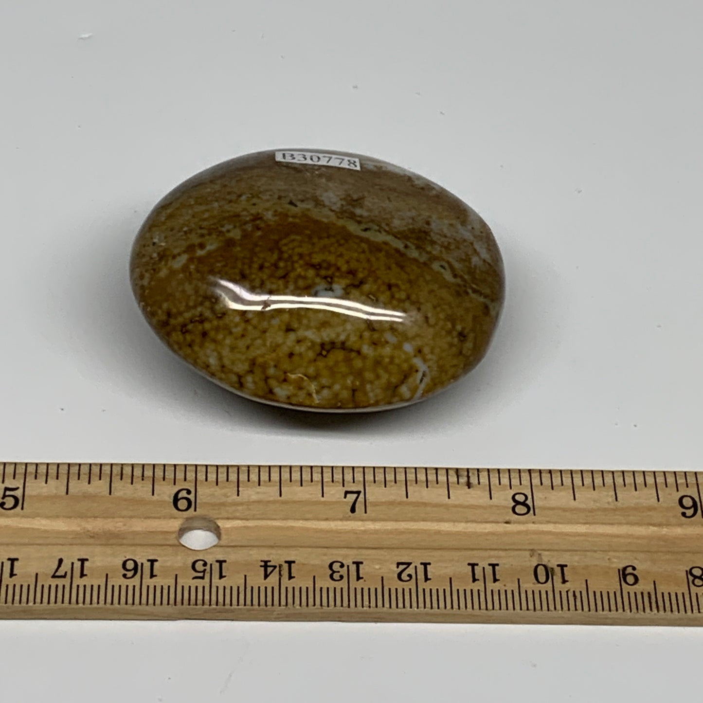 109.8g, 2.3"x1.9"x1.2" Natural Ocean Jasper Palm-Stone Orbicular Jasper, B30778