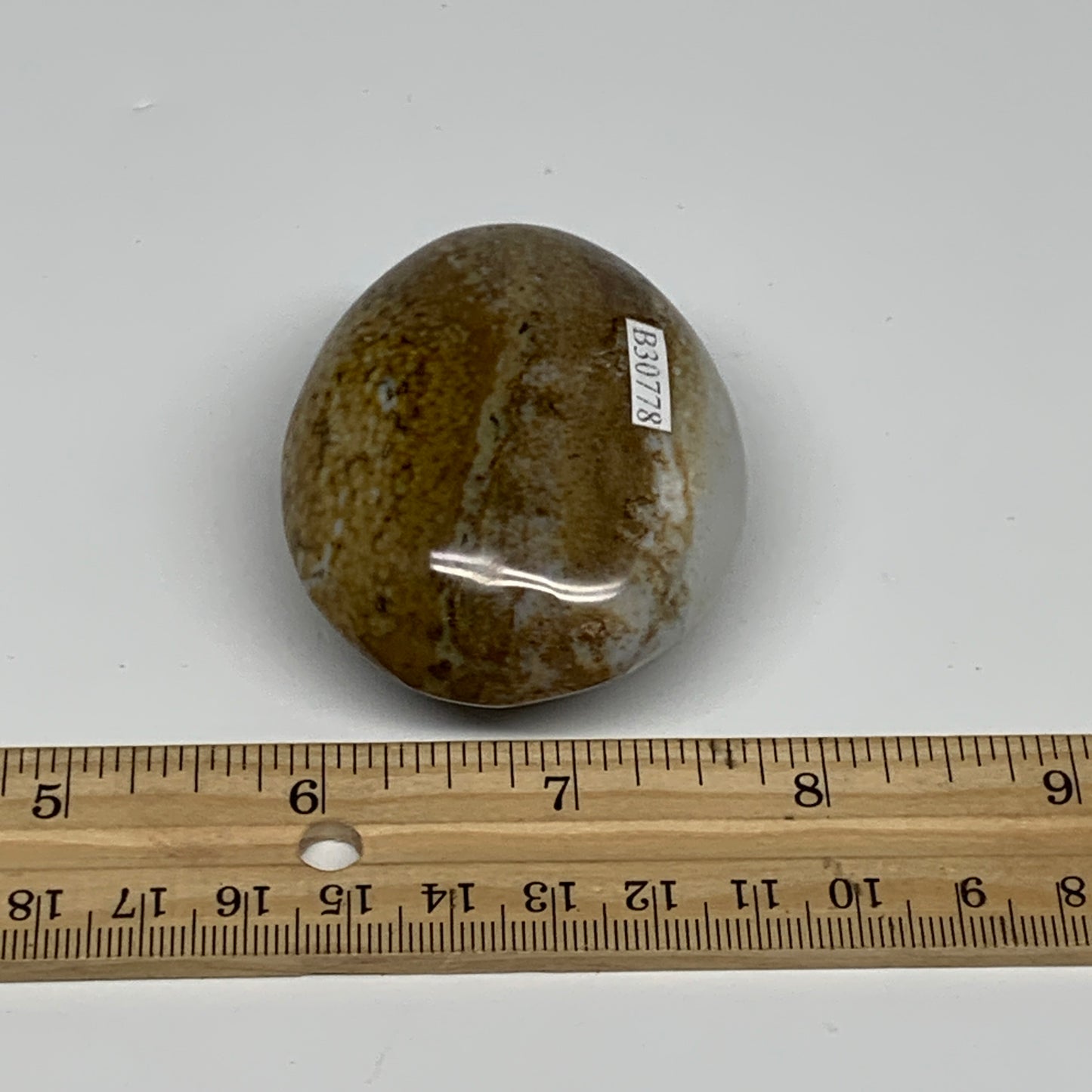 109.8g, 2.3"x1.9"x1.2" Natural Ocean Jasper Palm-Stone Orbicular Jasper, B30778