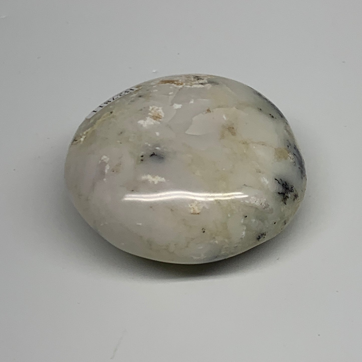 146.4g, 2.4"x2.3"x1.2", Dendrite Opal Palm-Stone Reiki Energy Crystal, B27811