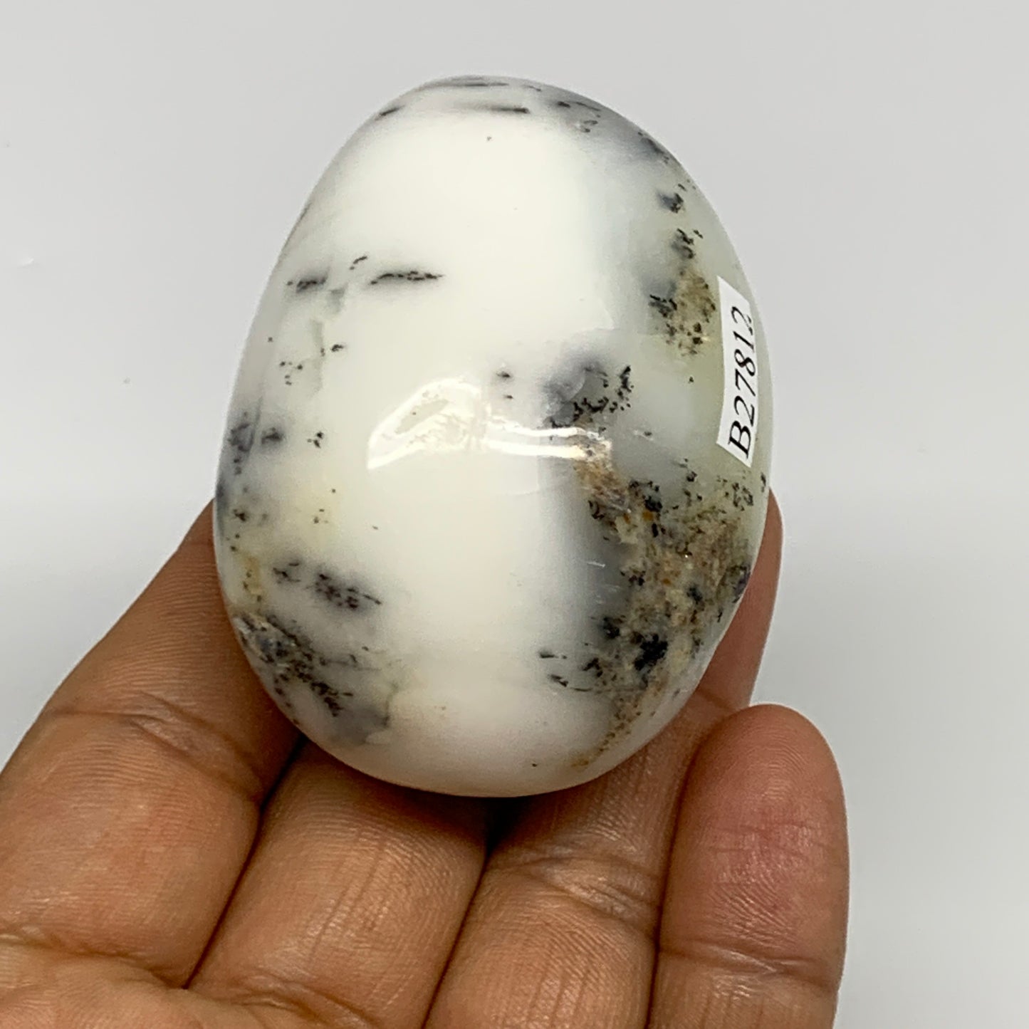 97.7g, 2.4"x1.7"x1.2", Dendrite Opal Palm-Stone Reiki Energy Crystal, B27812