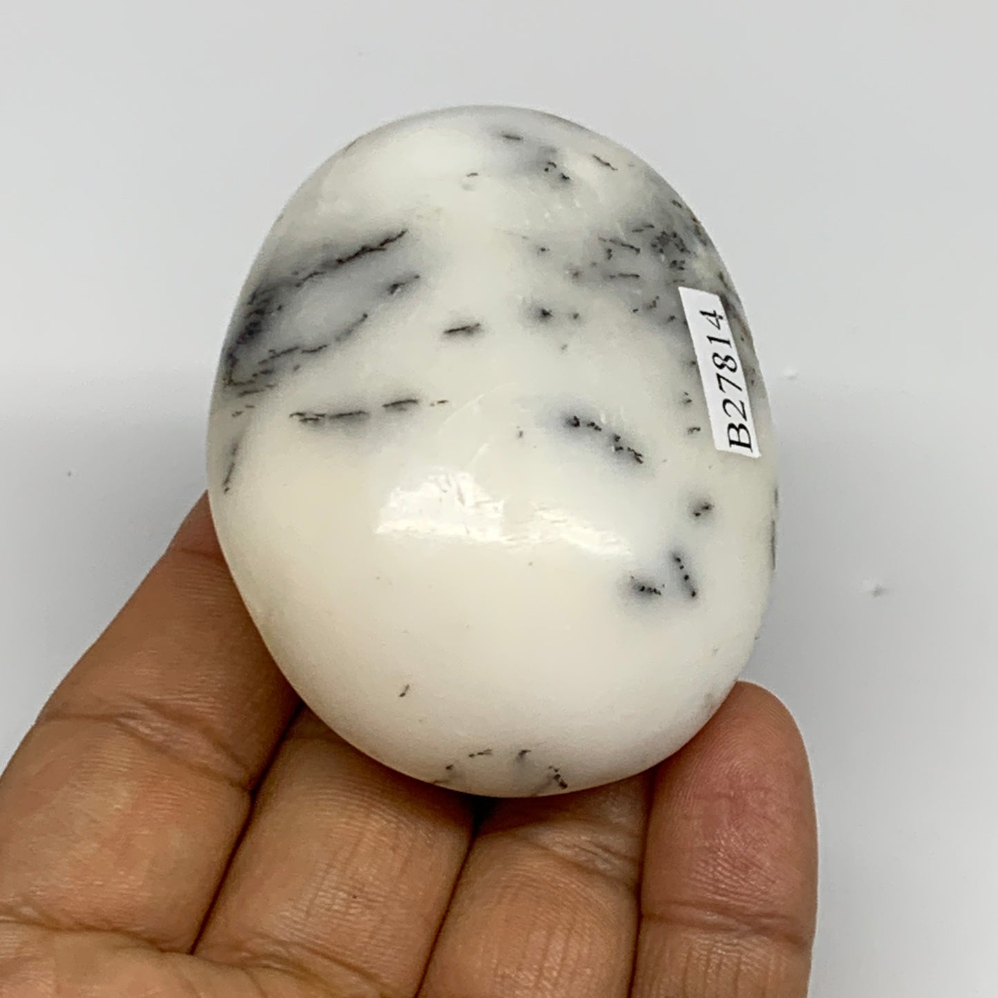 95.5g, 2.4"x1.9"x1.1", Dendrite Opal Palm-Stone Reiki Energy Crystal, B27814