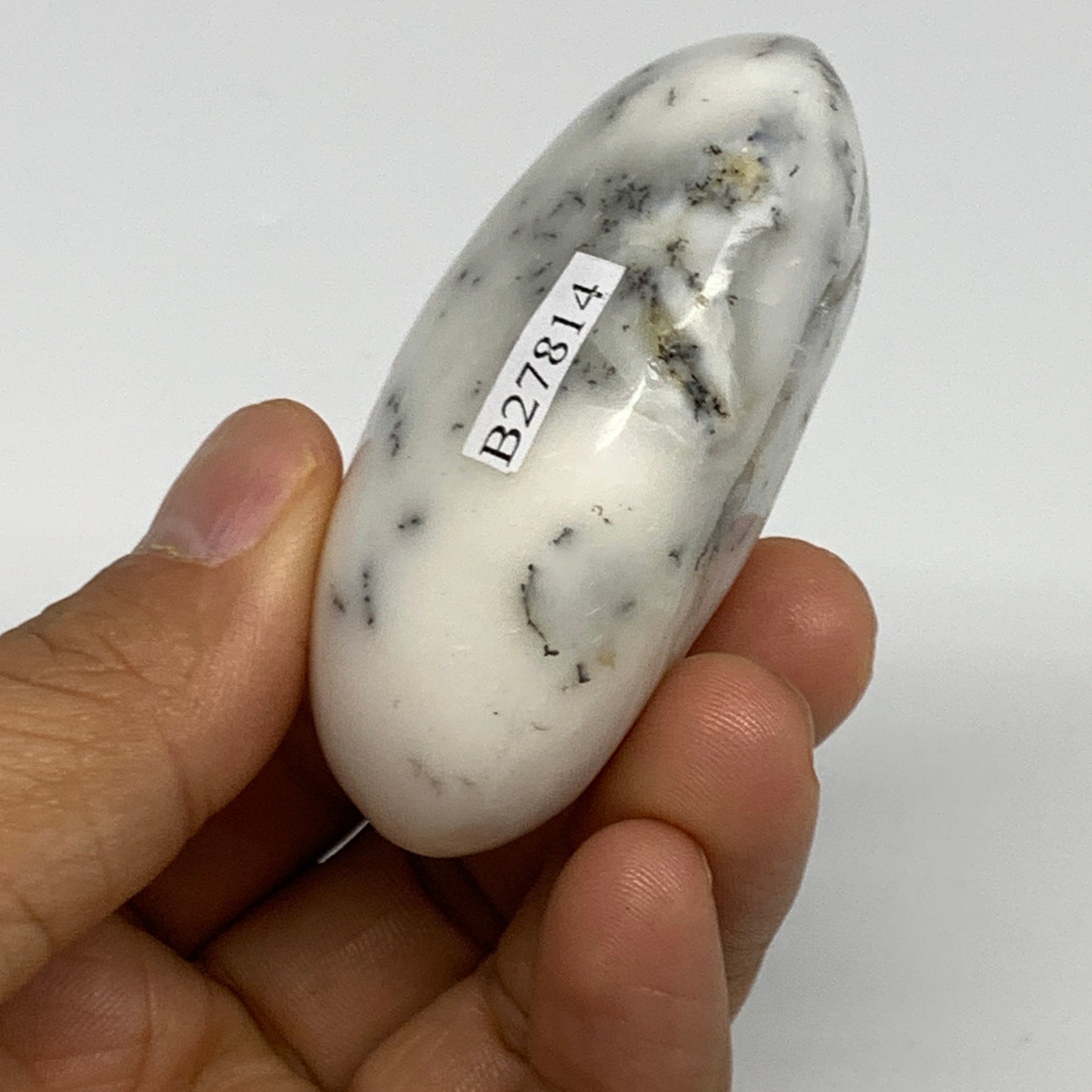 95.5g, 2.4"x1.9"x1.1", Dendrite Opal Palm-Stone Reiki Energy Crystal, B27814