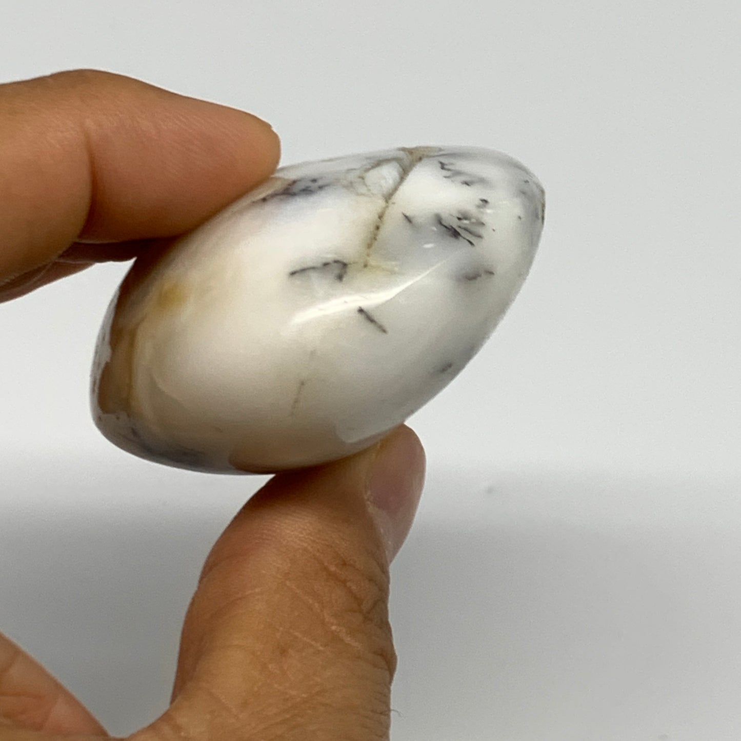 95.5g, 2.4"x1.9"x1.1", Dendrite Opal Palm-Stone Reiki Energy Crystal, B27814