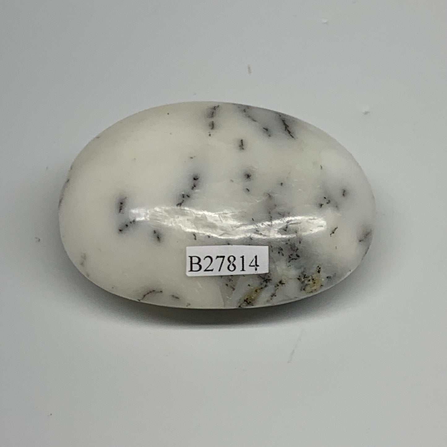 95.5g, 2.4"x1.9"x1.1", Dendrite Opal Palm-Stone Reiki Energy Crystal, B27814