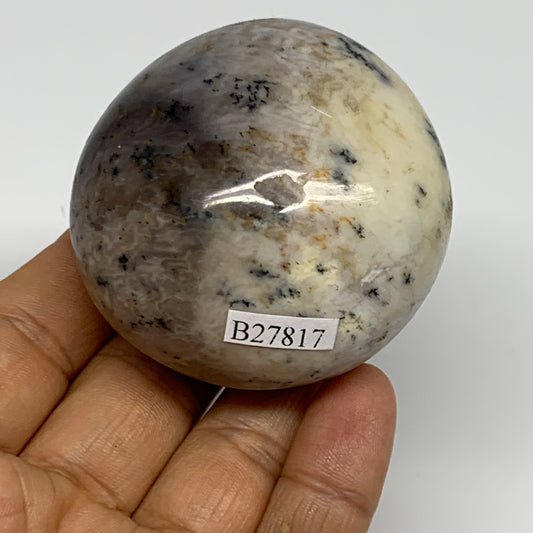 160.7g, 2.2"x2.2"x1.4", Dendrite Opal Palm-Stone Reiki Energy Crystal, B27817