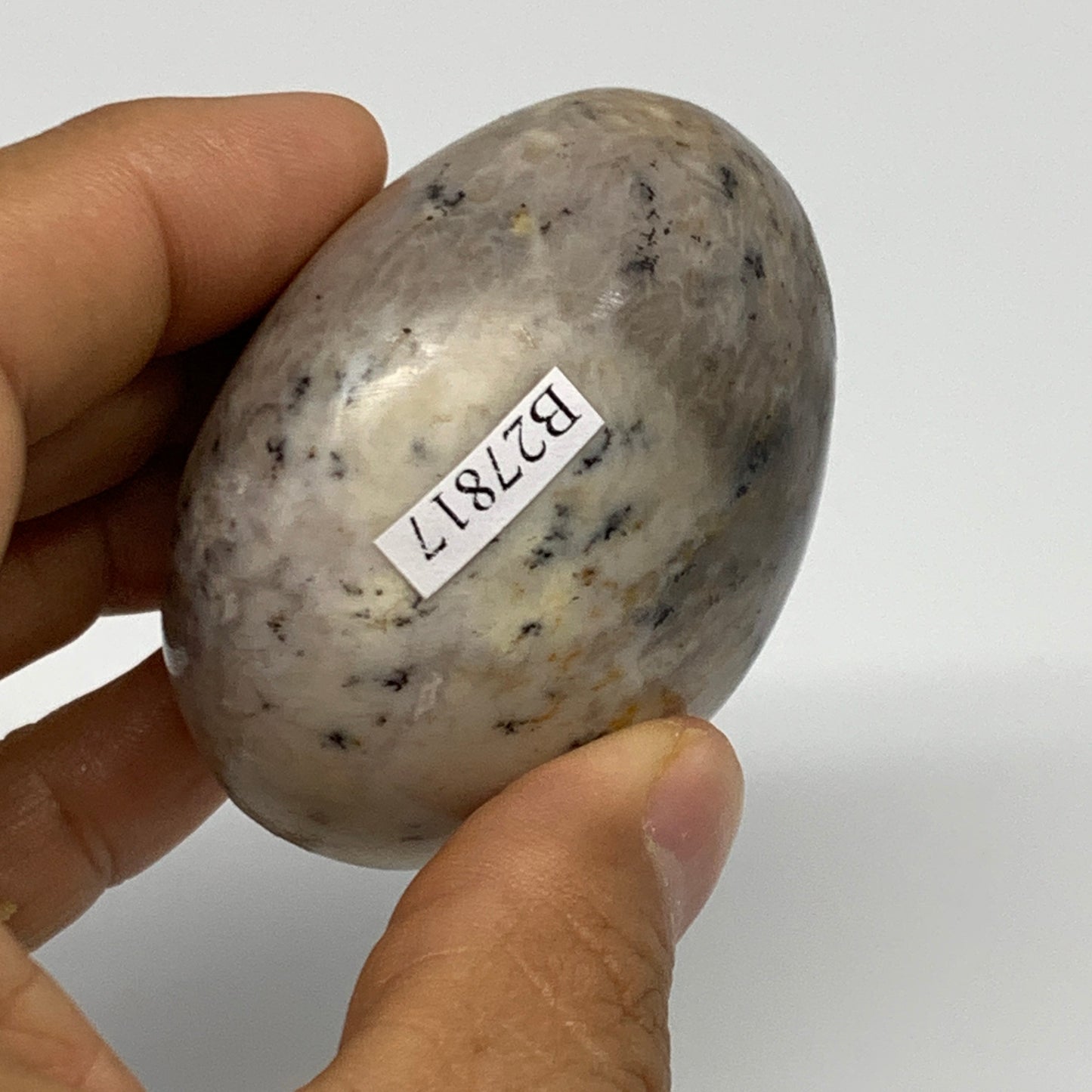 160.7g, 2.2"x2.2"x1.4", Dendrite Opal Palm-Stone Reiki Energy Crystal, B27817