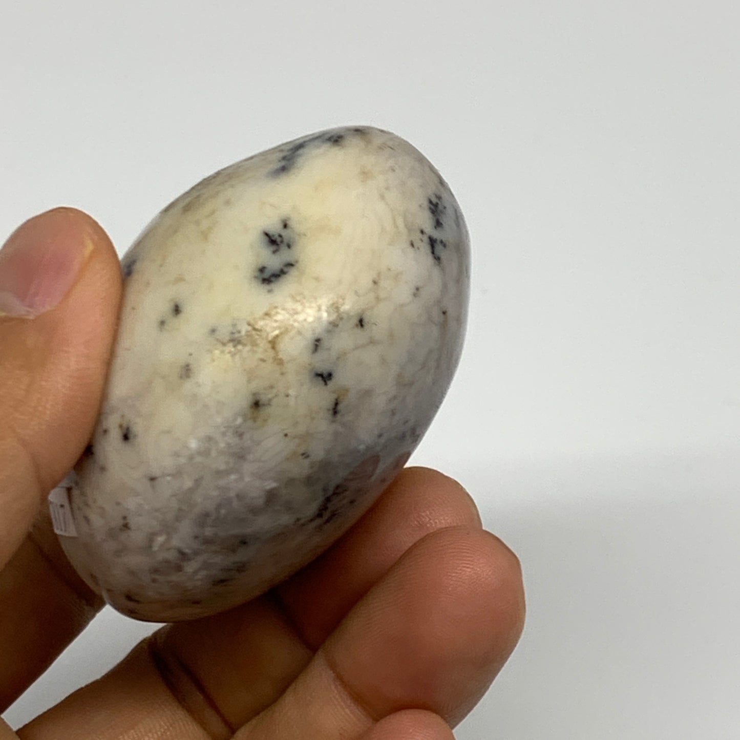 160.7g, 2.2"x2.2"x1.4", Dendrite Opal Palm-Stone Reiki Energy Crystal, B27817