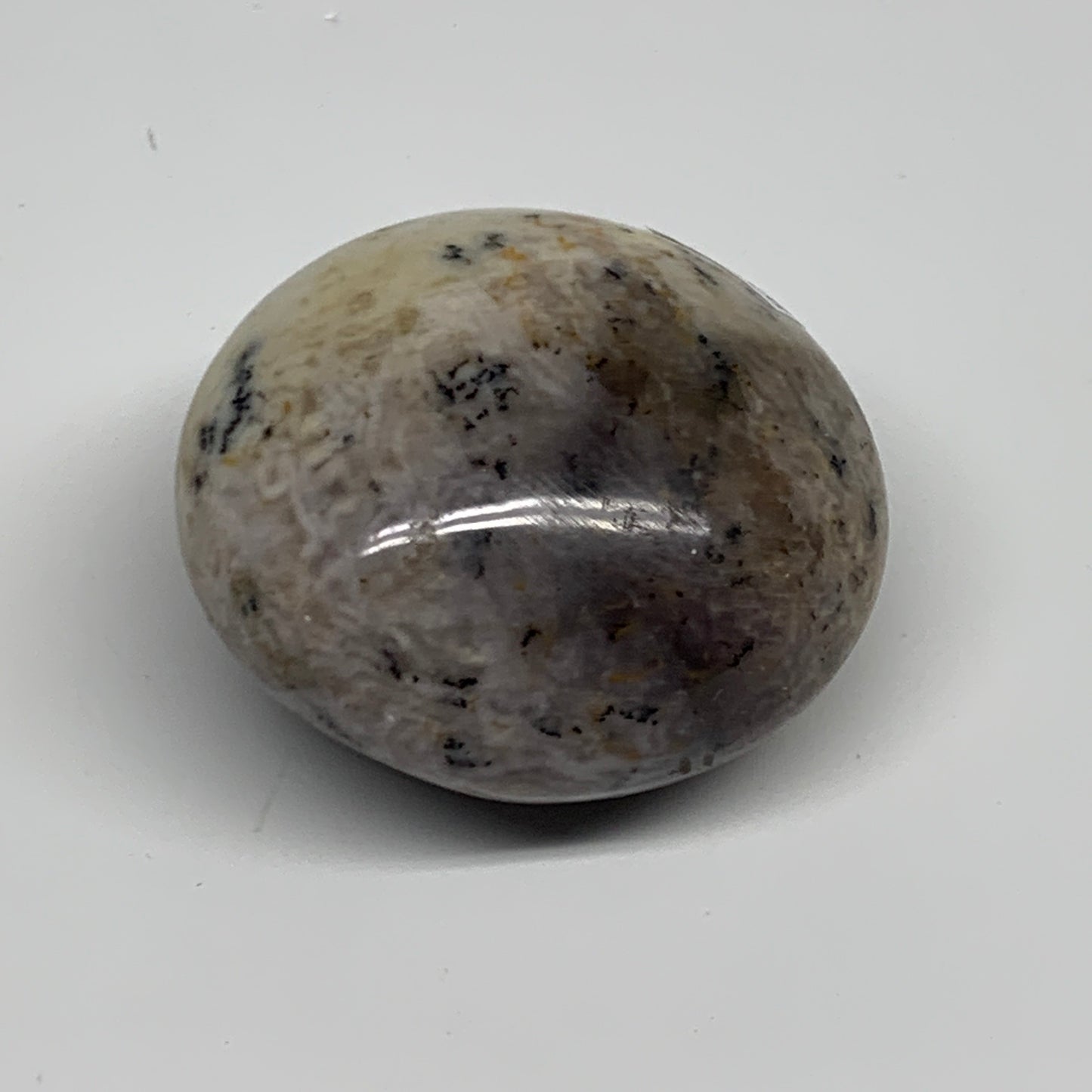 160.7g, 2.2"x2.2"x1.4", Dendrite Opal Palm-Stone Reiki Energy Crystal, B27817