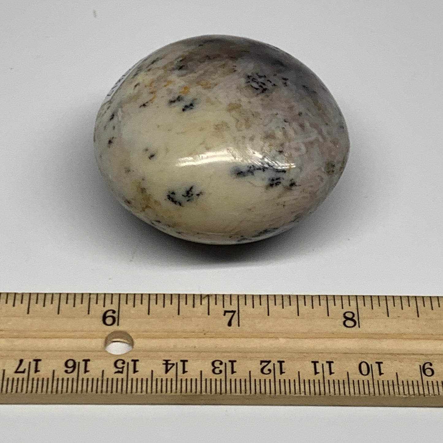 160.7g, 2.2"x2.2"x1.4", Dendrite Opal Palm-Stone Reiki Energy Crystal, B27817