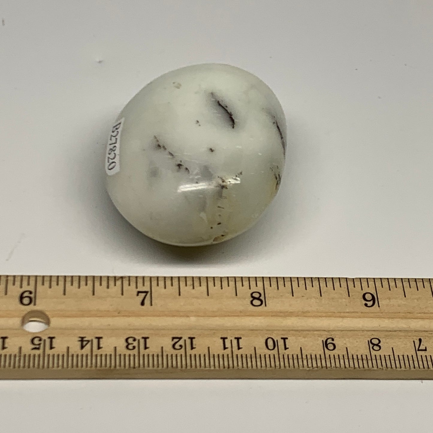 76.7g, 2.1"x1.7"x1.1", Dendrite Opal Palm-Stone Reiki Energy Crystal, B27820