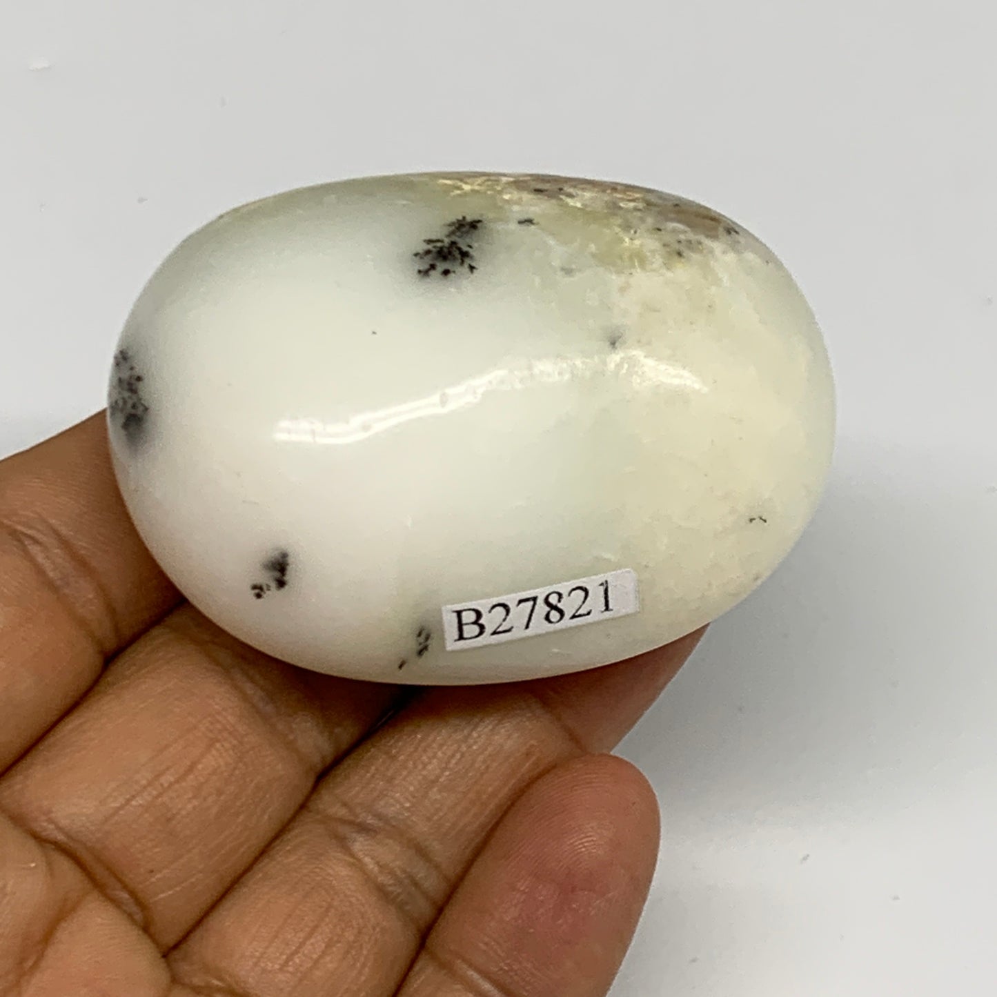 79.1g, 2.3"x1.7"x1", Dendrite Opal Palm-Stone Reiki Energy Crystal, B27821