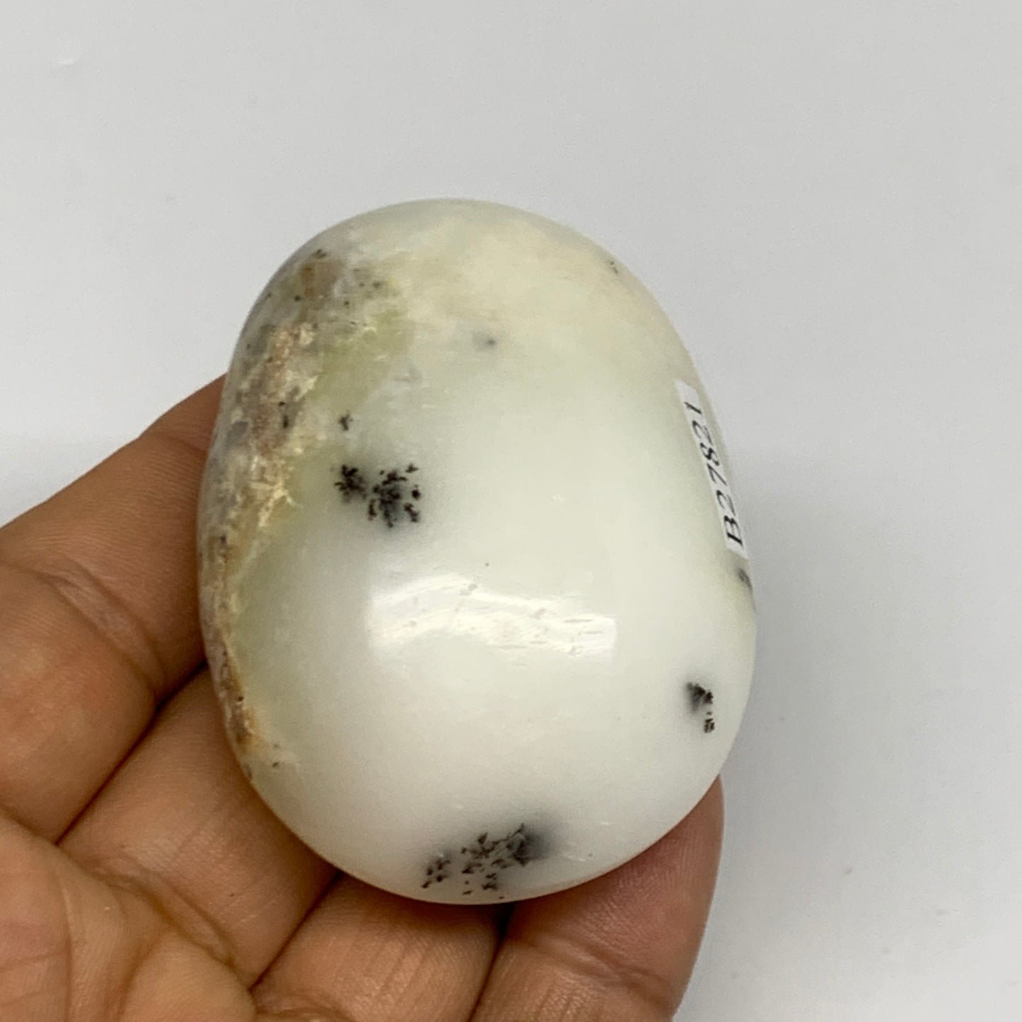 79.1g, 2.3"x1.7"x1", Dendrite Opal Palm-Stone Reiki Energy Crystal, B27821