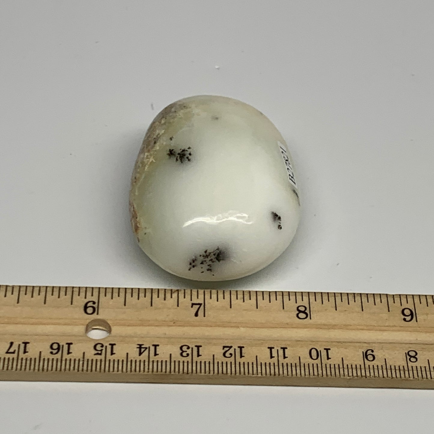 79.1g, 2.3"x1.7"x1", Dendrite Opal Palm-Stone Reiki Energy Crystal, B27821