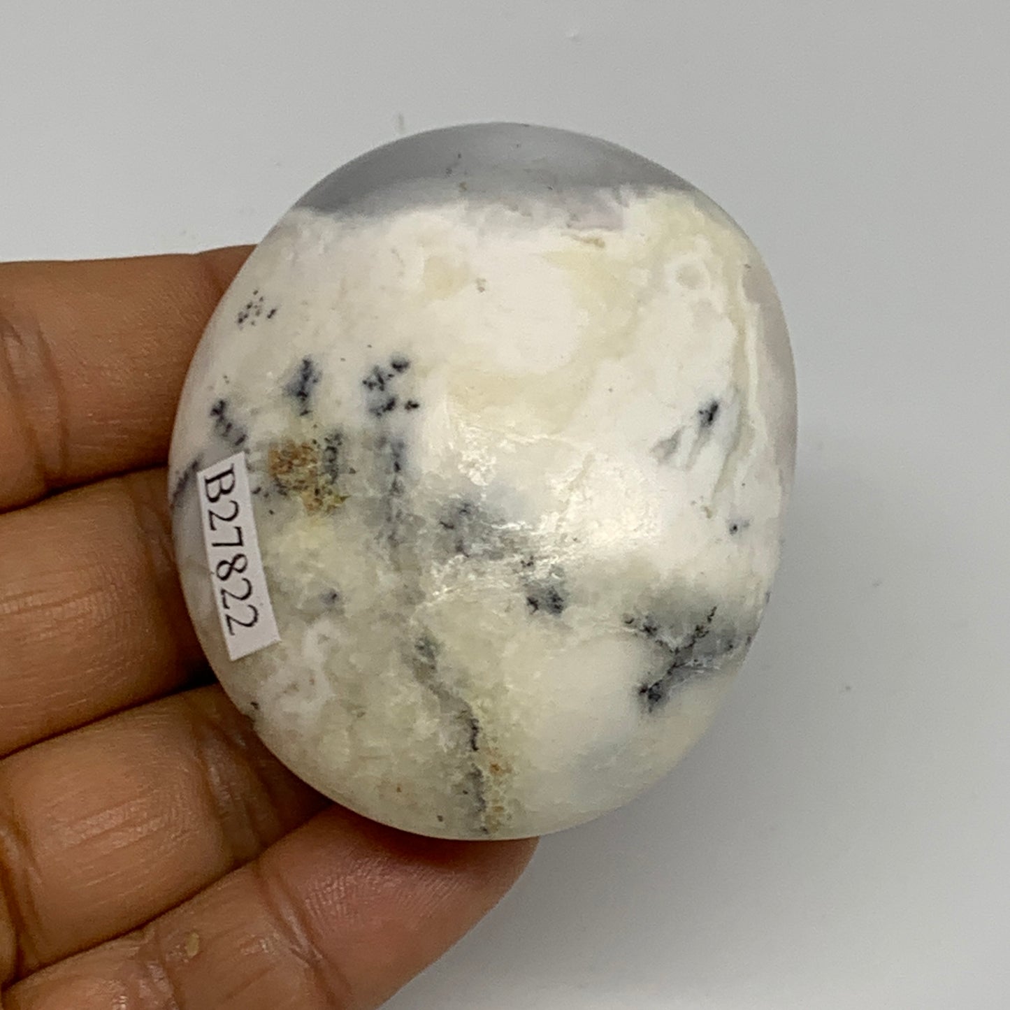 99.3g, 2.3"x1.9"x1", Dendrite Opal Palm-Stone Reiki Energy Crystal, B27822