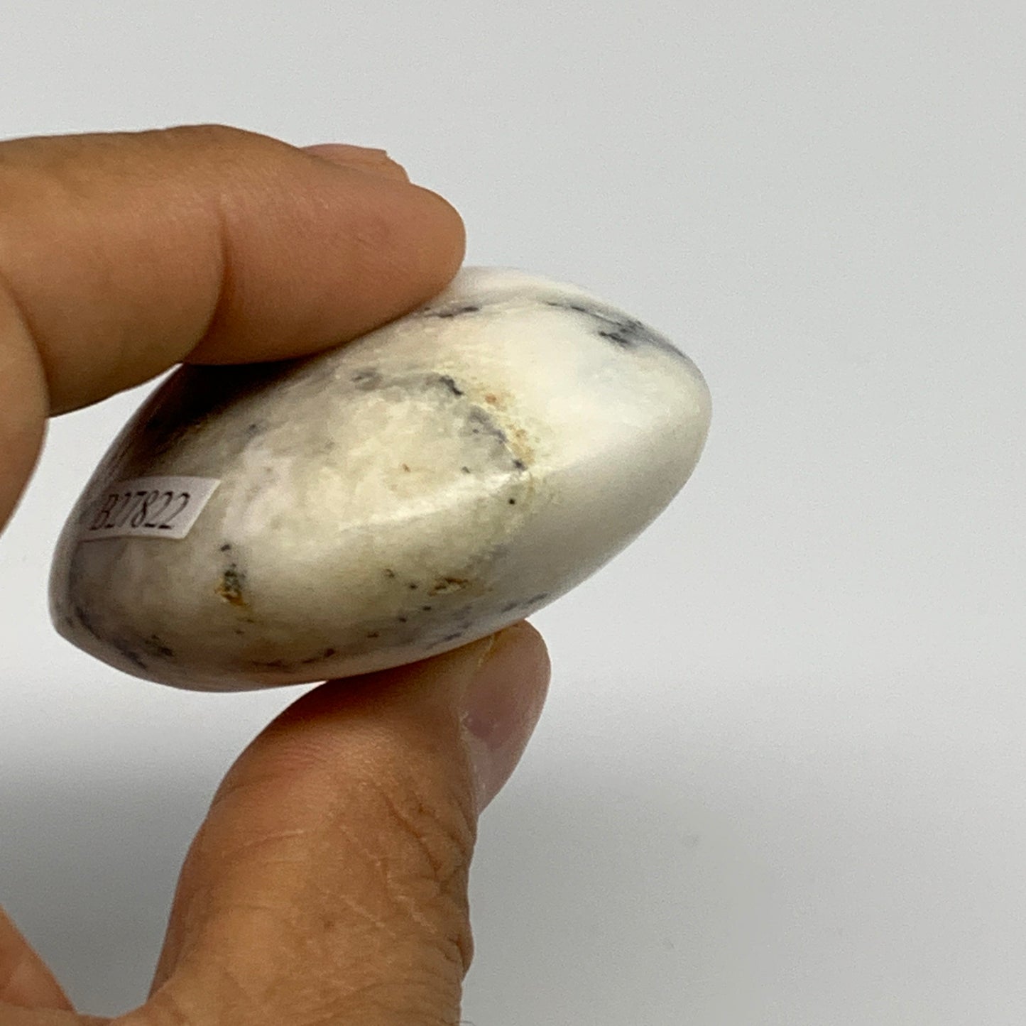 99.3g, 2.3"x1.9"x1", Dendrite Opal Palm-Stone Reiki Energy Crystal, B27822