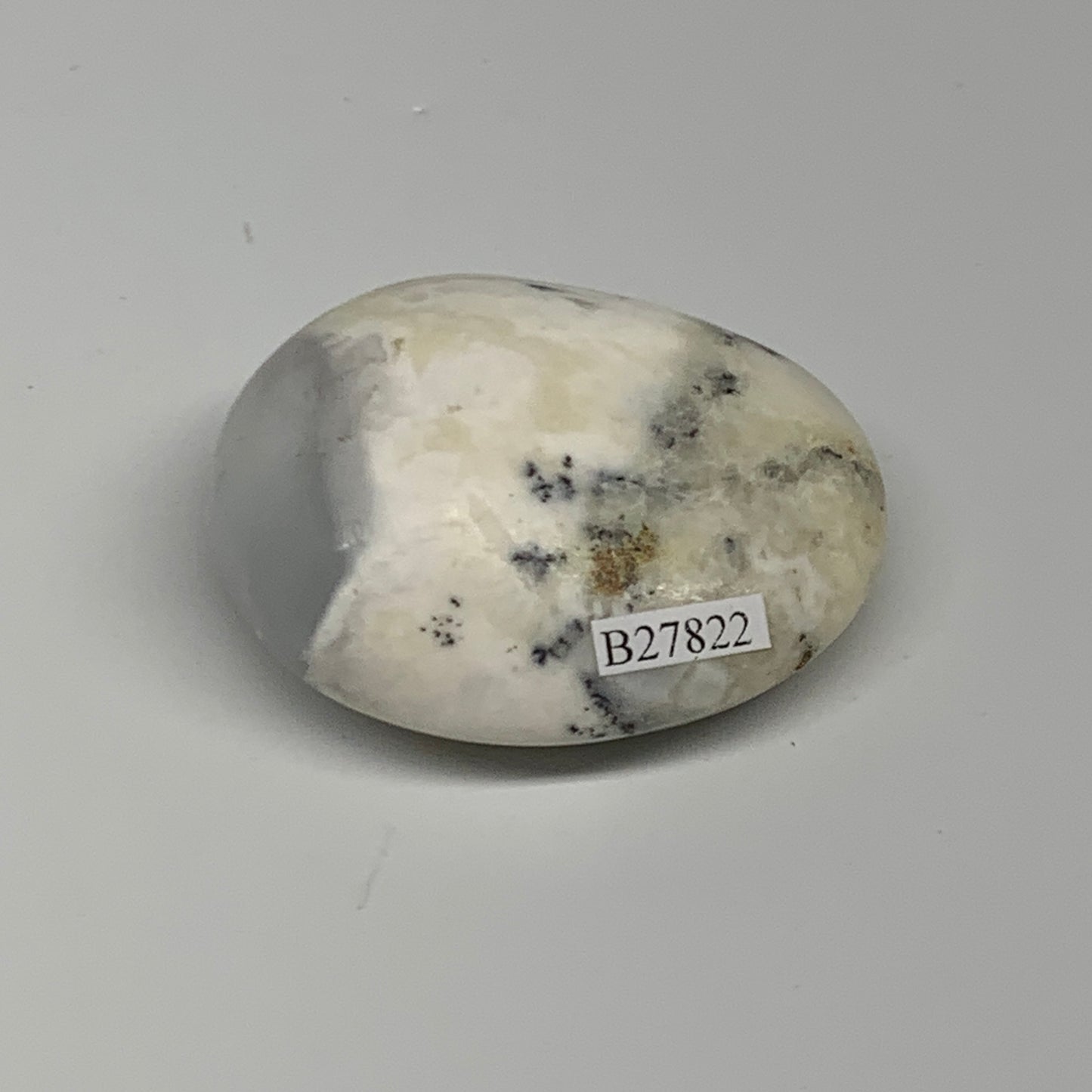 99.3g, 2.3"x1.9"x1", Dendrite Opal Palm-Stone Reiki Energy Crystal, B27822