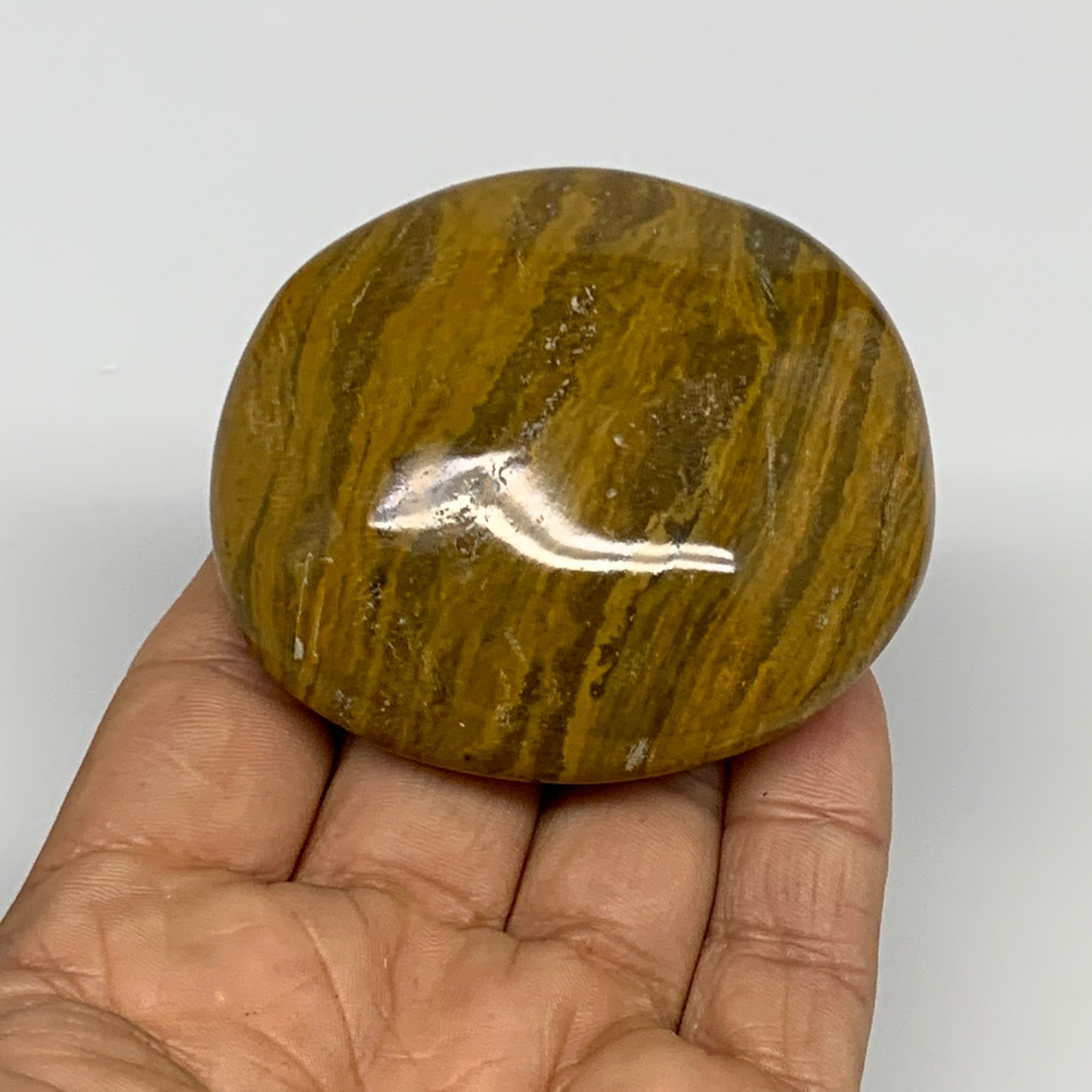 131.2g, 2.5"x2.3"x1.1" Natural Ocean Jasper Palm-Stone Orbicular Jasper, B30764