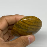 131.2g, 2.5"x2.3"x1.1" Natural Ocean Jasper Palm-Stone Orbicular Jasper, B30764