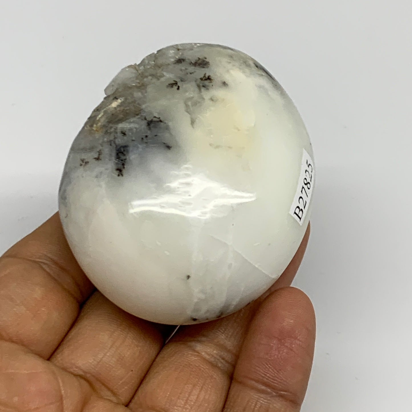 107.5g, 2.4"x2"x1.2", Dendrite Opal Palm-Stone Reiki Energy Crystal, B27825