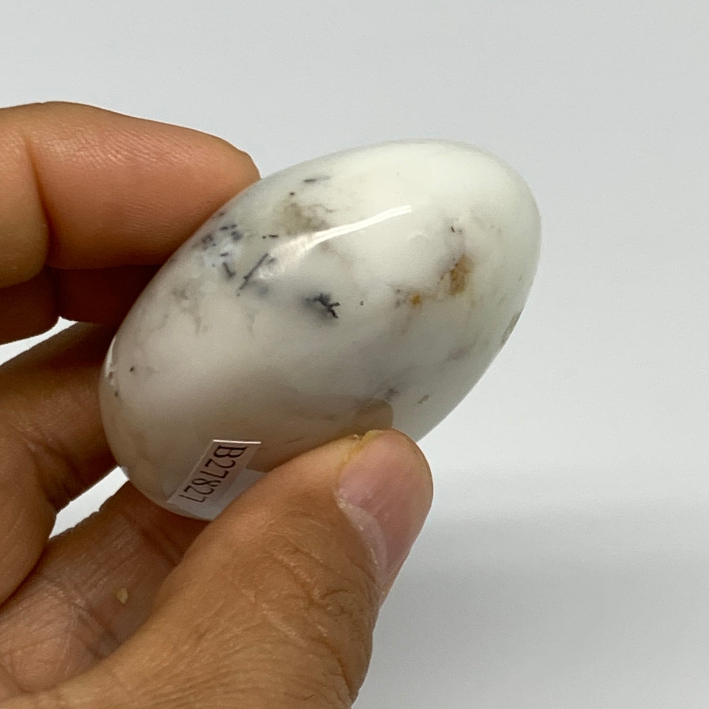 84.4g, 2.1"x1.9"x1", Dendrite Opal Palm-Stone Reiki Energy Crystal, B27827