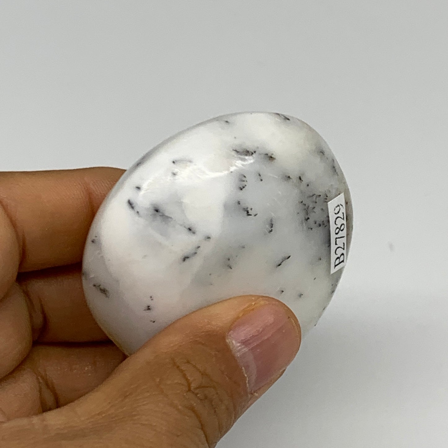 86.8g, 2.2"x2.1"x1", Dendrite Opal Palm-Stone Reiki Energy Crystal, B27829