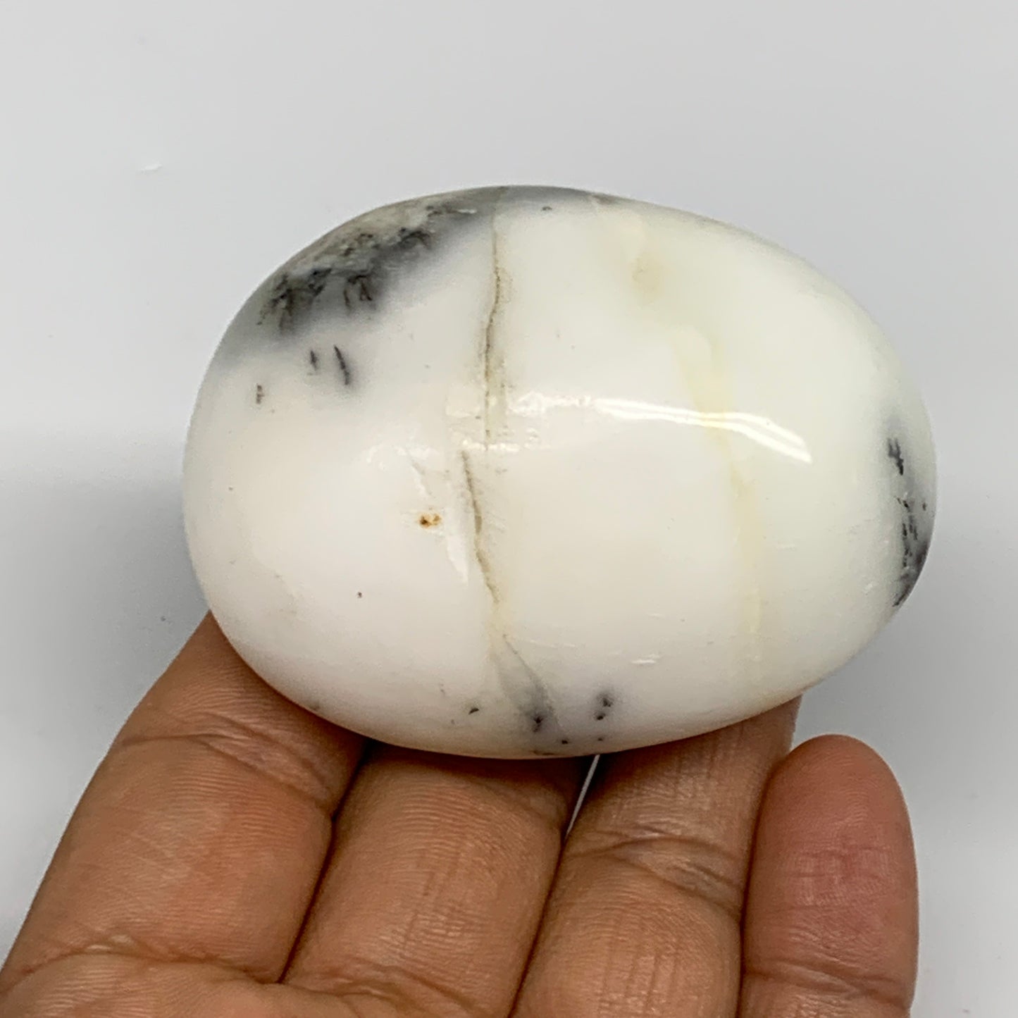 102.9g, 2.4"x1.9"x1.1", Dendrite Opal Palm-Stone Reiki Energy Crystal, B27833