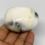 102.9g, 2.4"x1.9"x1.1", Dendrite Opal Palm-Stone Reiki Energy Crystal, B27833