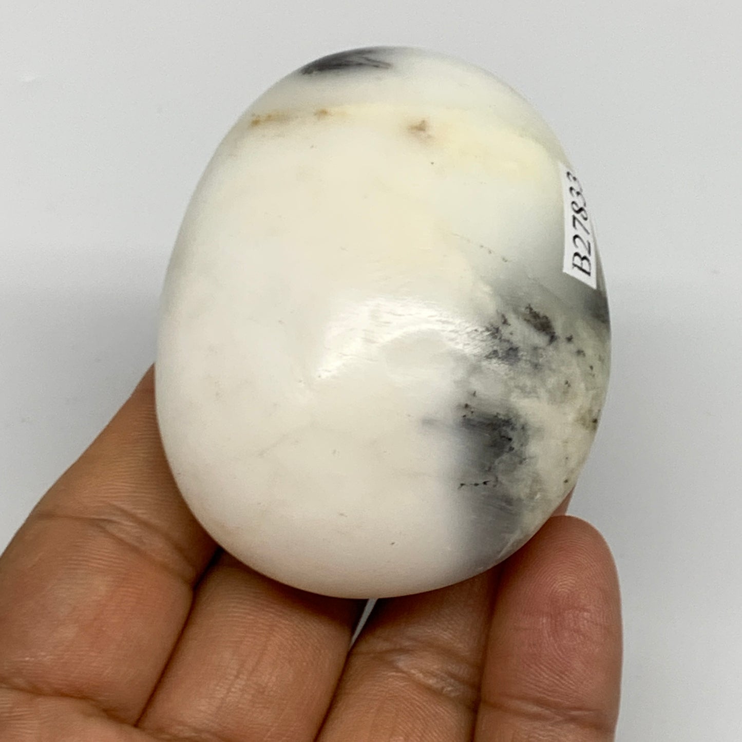102.9g, 2.4"x1.9"x1.1", Dendrite Opal Palm-Stone Reiki Energy Crystal, B27833