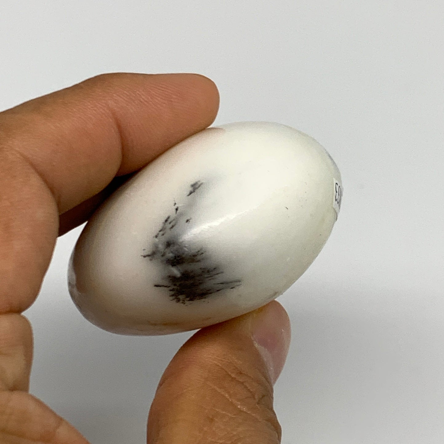 102.9g, 2.4"x1.9"x1.1", Dendrite Opal Palm-Stone Reiki Energy Crystal, B27833