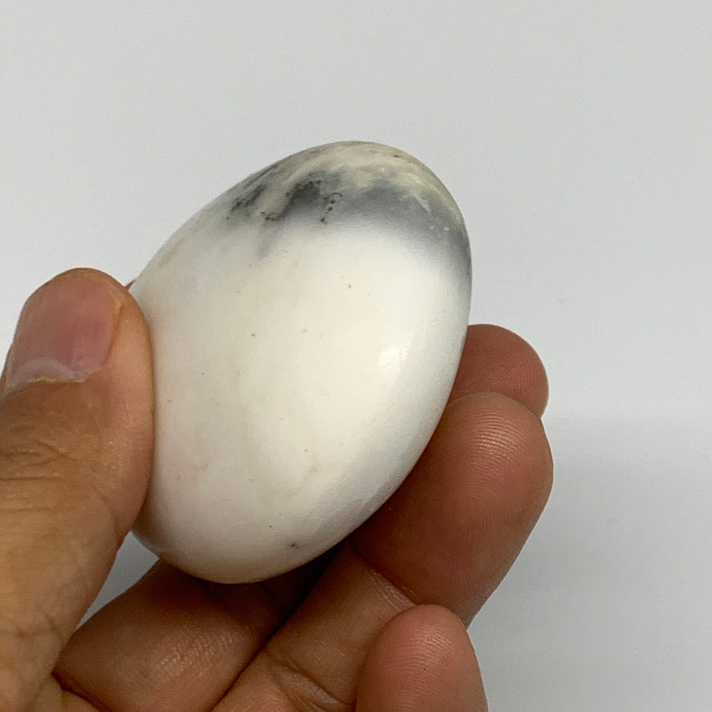 102.9g, 2.4"x1.9"x1.1", Dendrite Opal Palm-Stone Reiki Energy Crystal, B27833