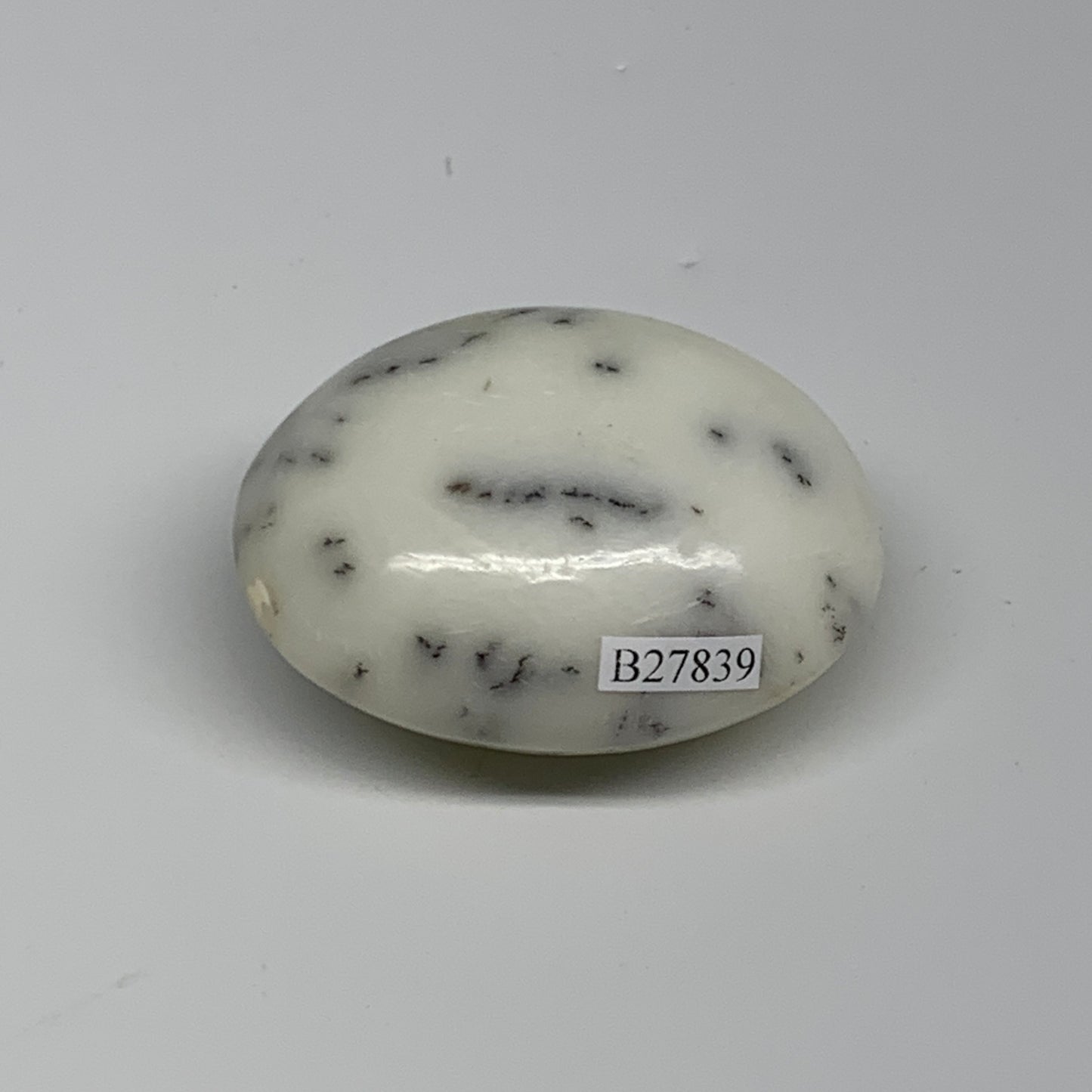 92.9g, 2.3"x1.8"x1.2", Dendrite Opal Palm-Stone Reiki Energy Crystal, B27839