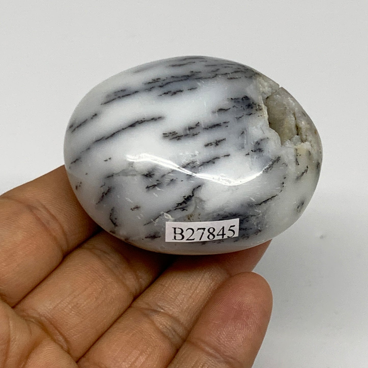 91.2g, 2.2"x1.8"x1.2", Dendrite Opal Palm-Stone Reiki Energy Crystal, B27845