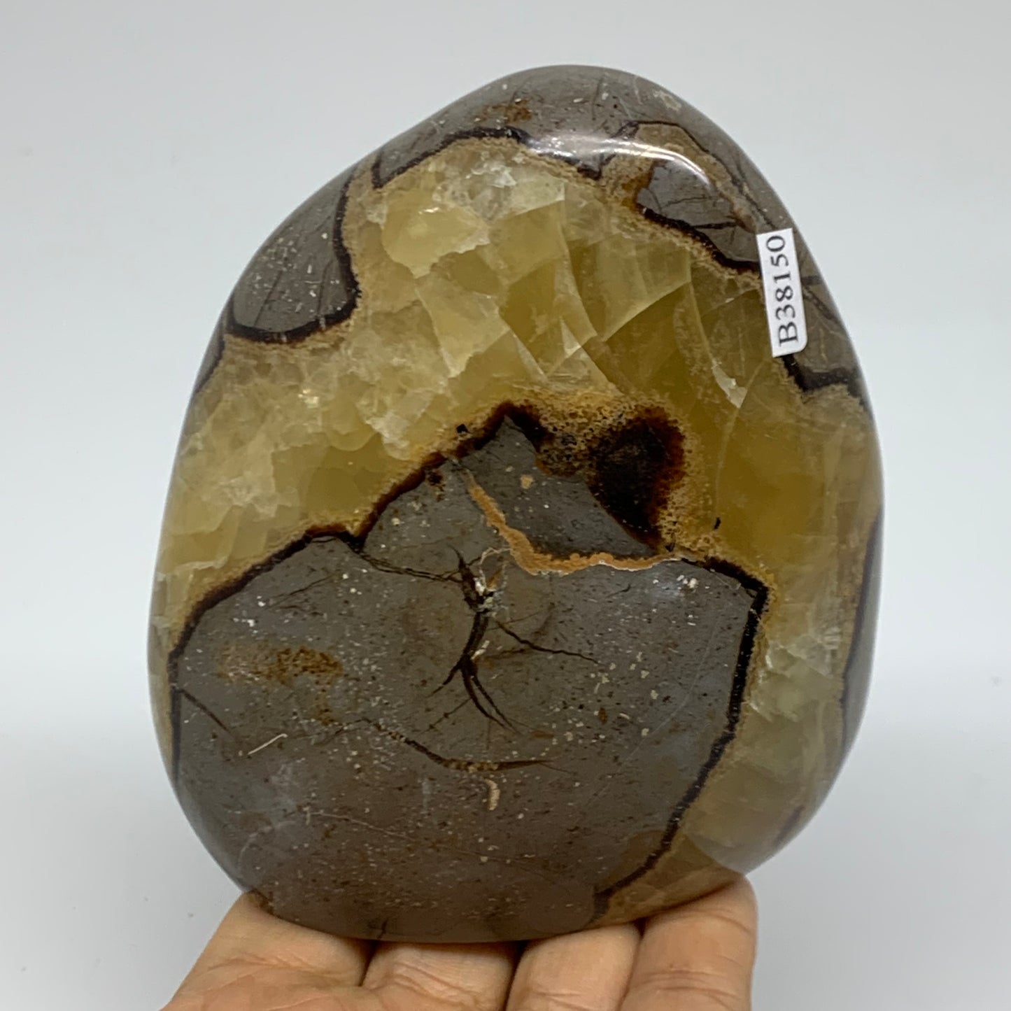 1.81 lbs, 4.3"x3.7"x2.3", Septarian Nodules Freeform Polished Crystal, B38150