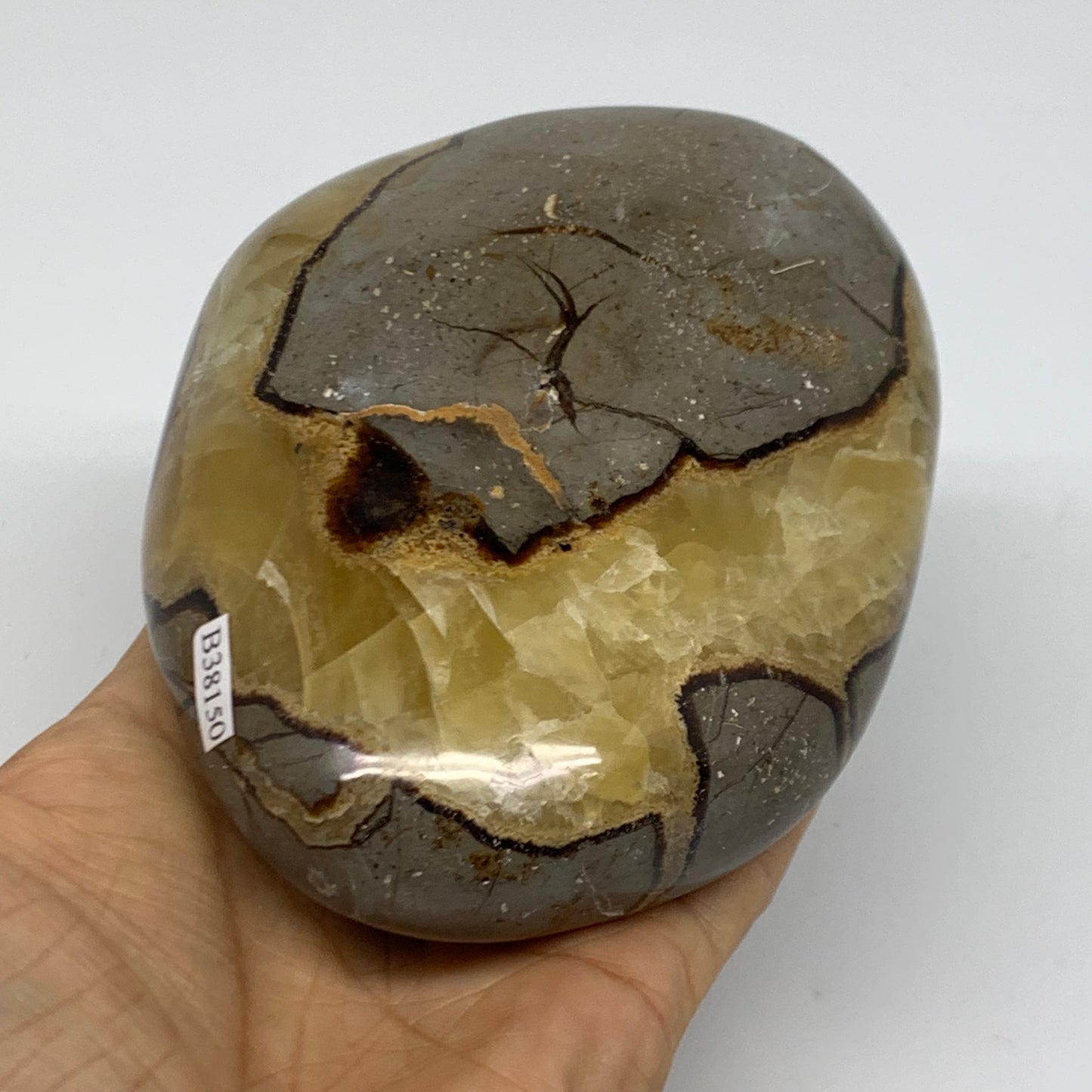 1.81 lbs, 4.3"x3.7"x2.3", Septarian Nodules Freeform Polished Crystal, B38150