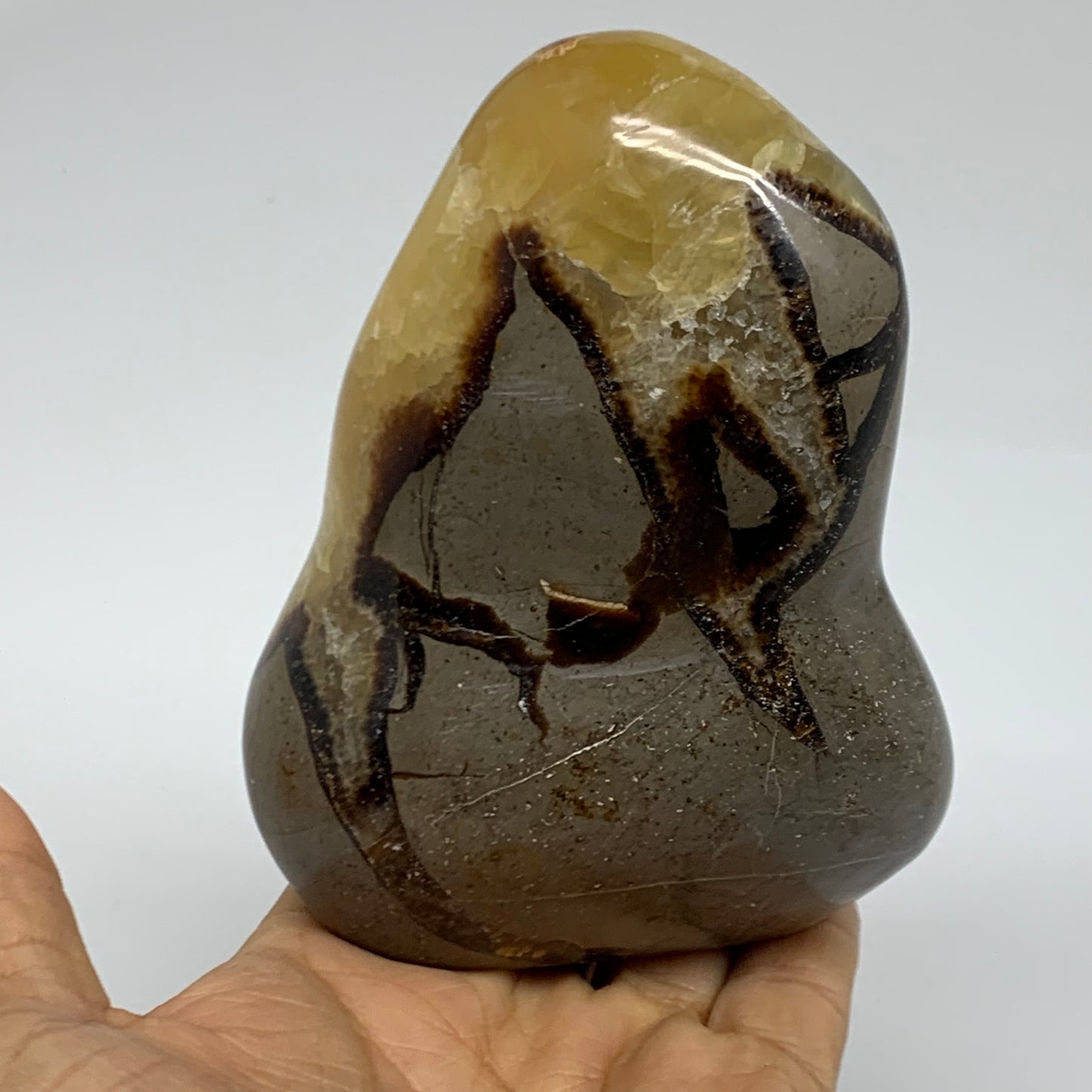 1.27 lbs, 4.3"x3.4"x2", Septarian Nodules Freeform Polished Crystal, B38151