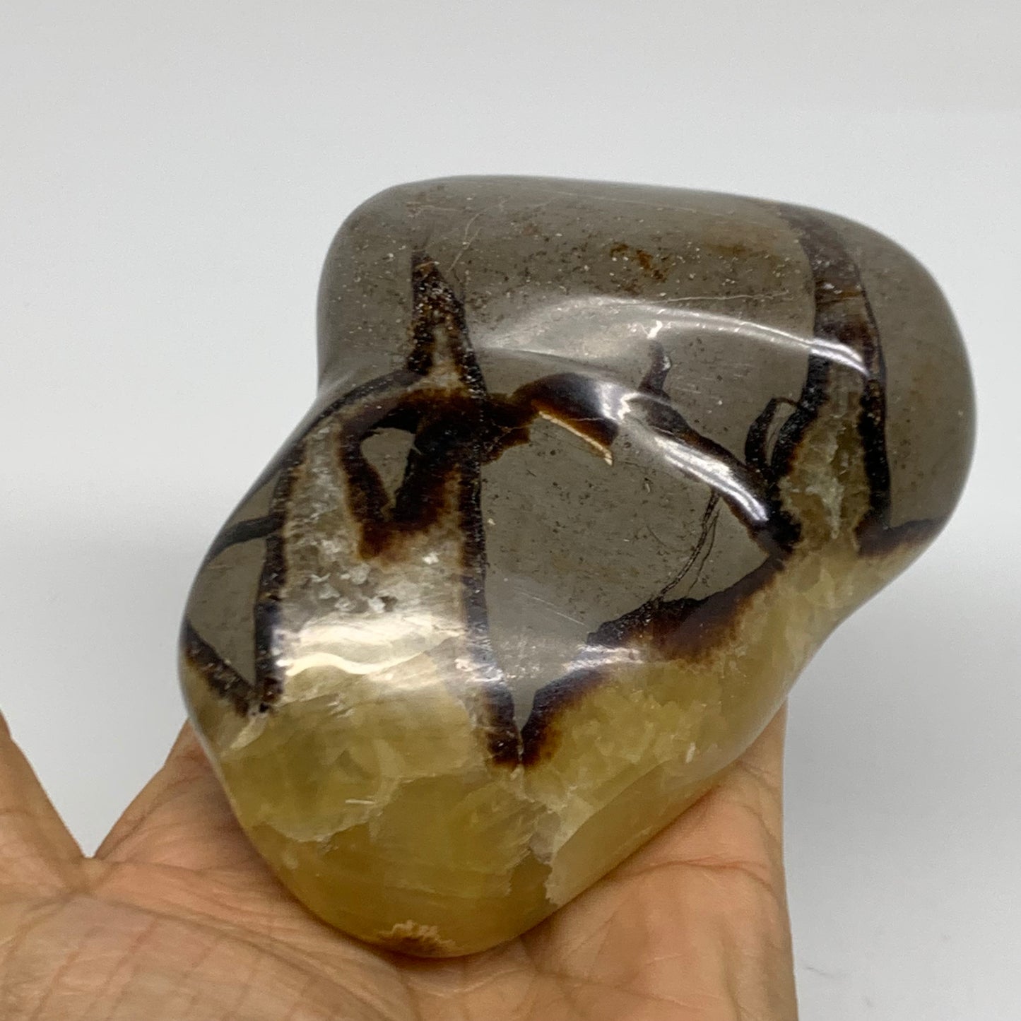 1.27 lbs, 4.3"x3.4"x2", Septarian Nodules Freeform Polished Crystal, B38151