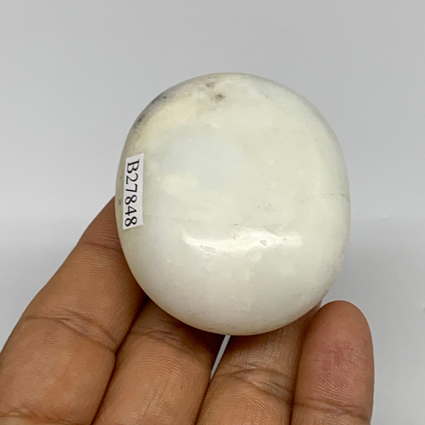 74.6g, 2.2"x1.8"x0.9", Dendrite Opal Palm-Stone Reiki Energy Crystal, B27848