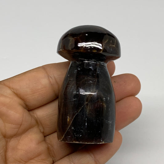 114.8g, 2.5"x1.2", Natural Chocolate Calcite Mushroom Gemstone @Pakistan, B31665
