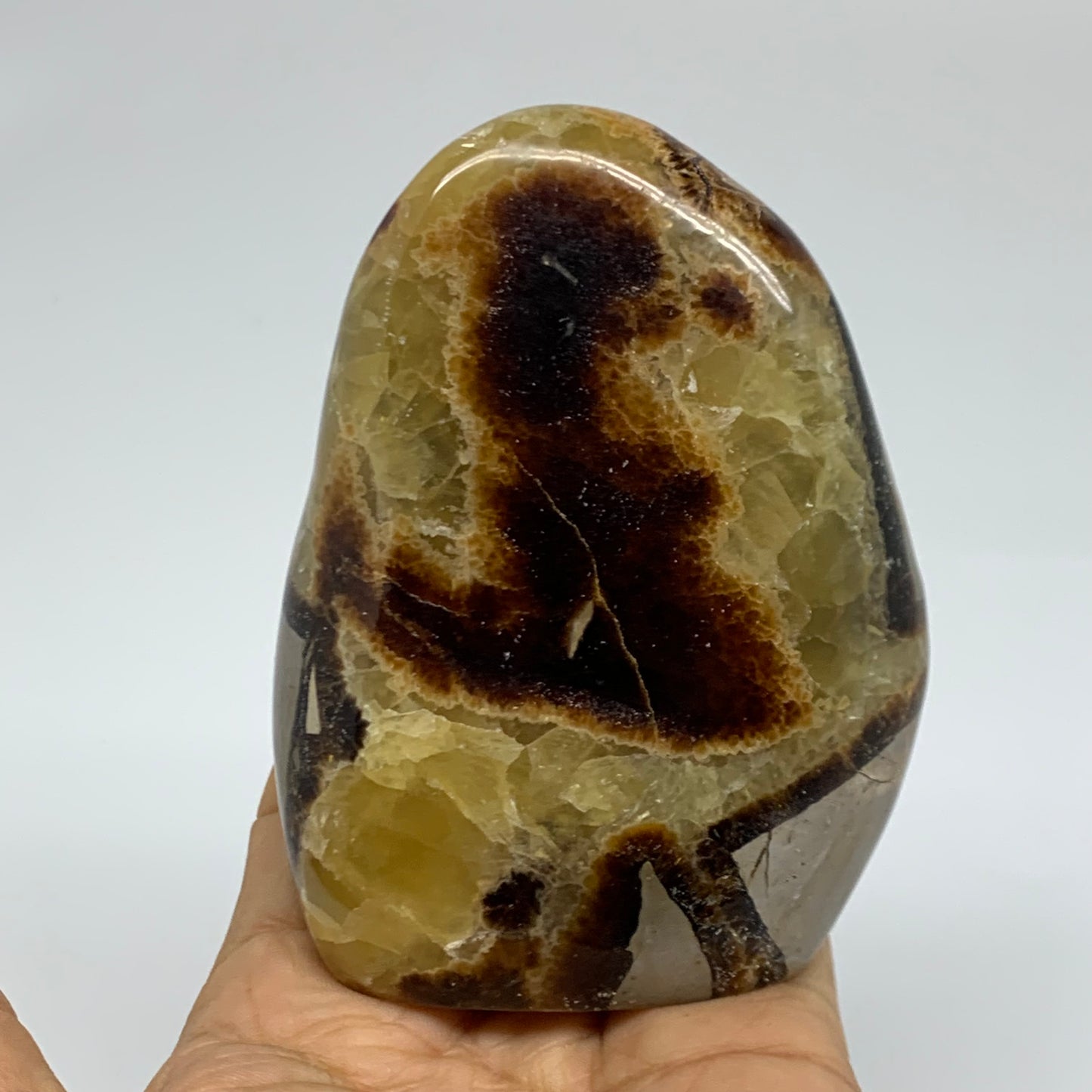 0.95 lbs, 3.9"x3"x1.7", Septarian Nodules Freeform Polished Crystal, B38157