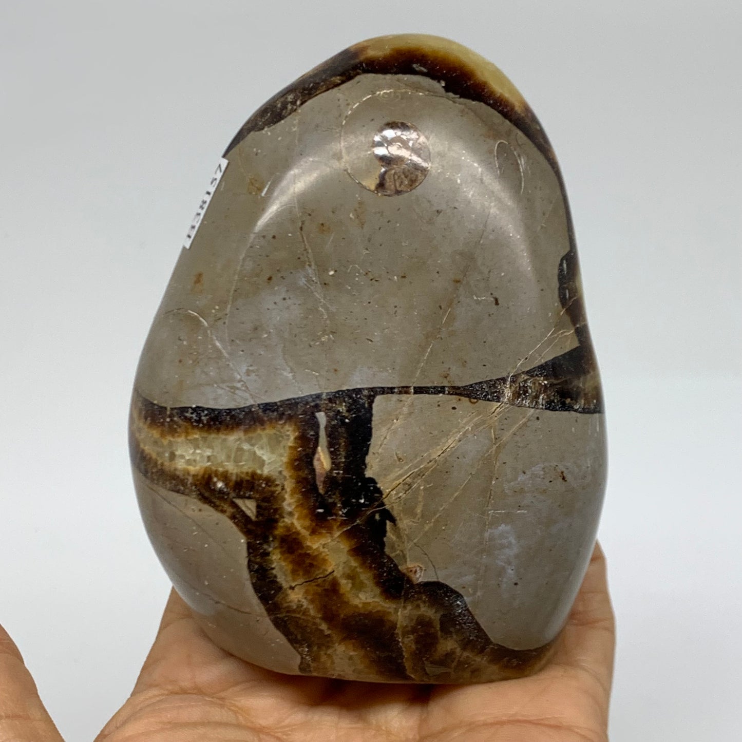 0.95 lbs, 3.9"x3"x1.7", Septarian Nodules Freeform Polished Crystal, B38157