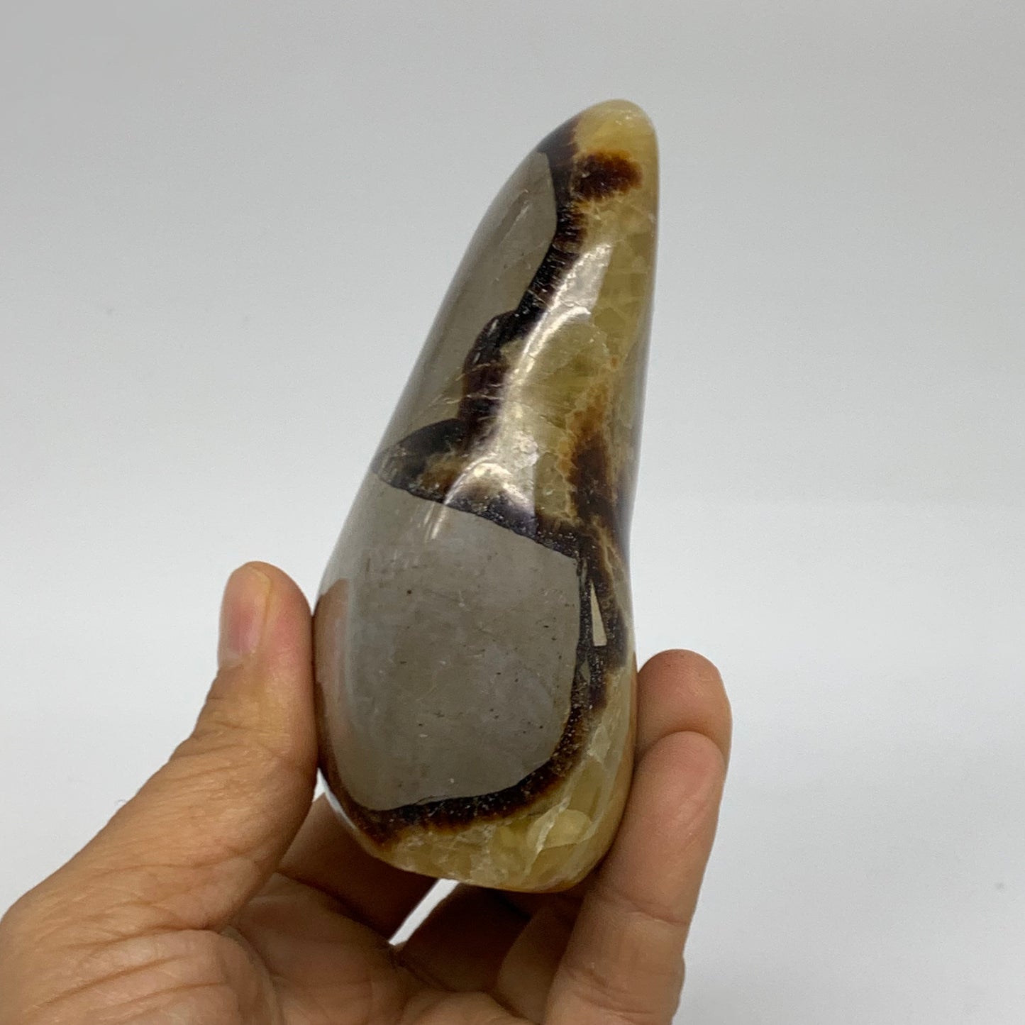 0.95 lbs, 3.9"x3"x1.7", Septarian Nodules Freeform Polished Crystal, B38157