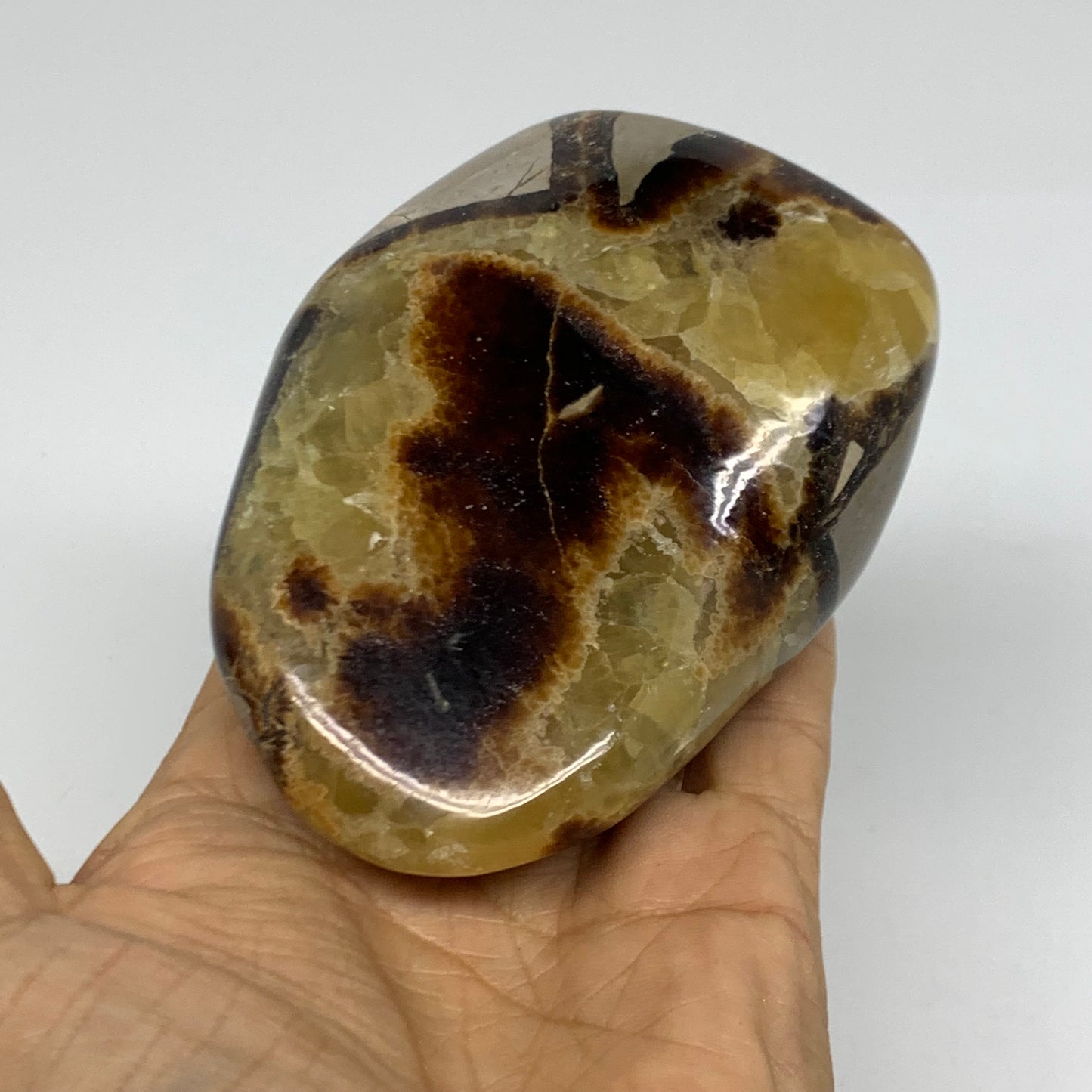 0.95 lbs, 3.9"x3"x1.7", Septarian Nodules Freeform Polished Crystal, B38157