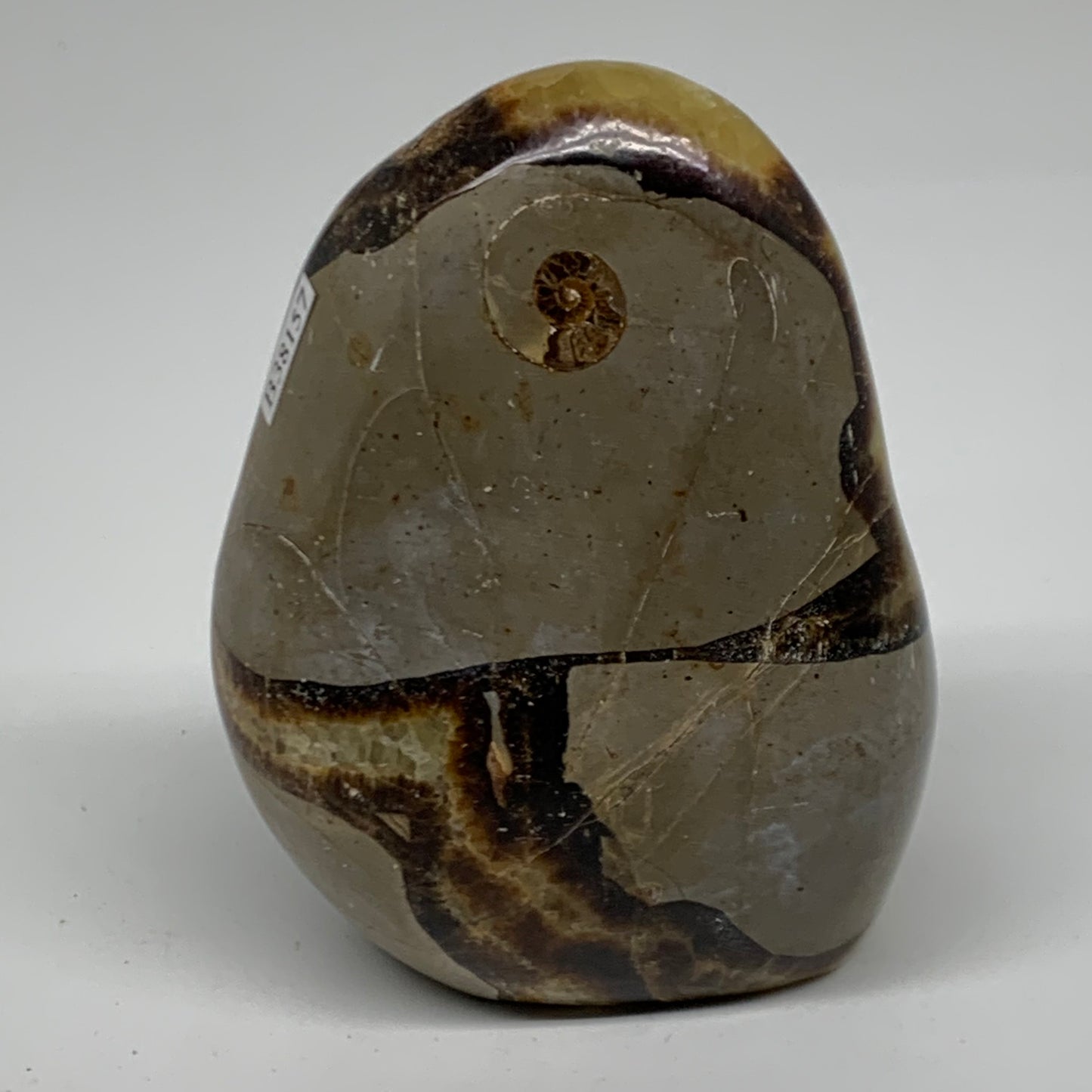 0.95 lbs, 3.9"x3"x1.7", Septarian Nodules Freeform Polished Crystal, B38157