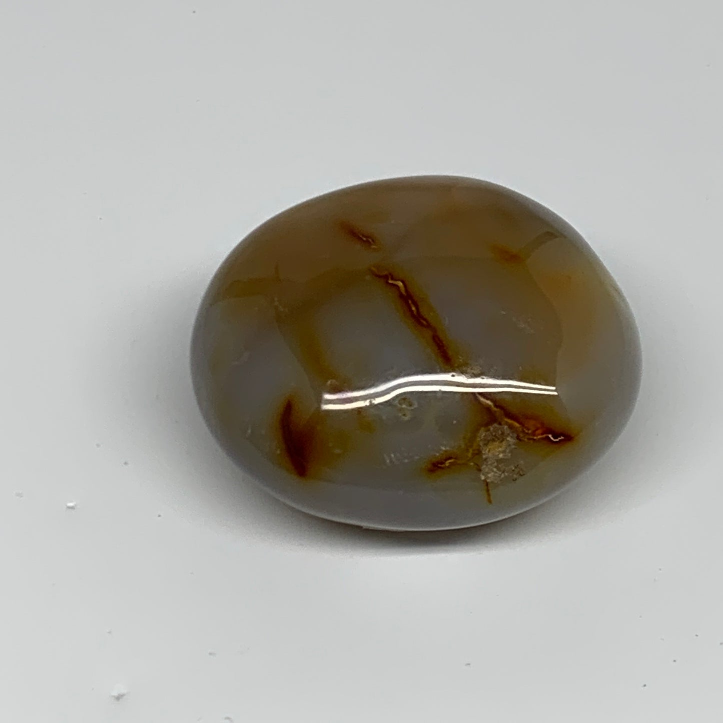 171.8g, 2.4"x2.1"x1.4" Orca Agate Palm-Stone Reiki Energy Crystal Reiki, B27854